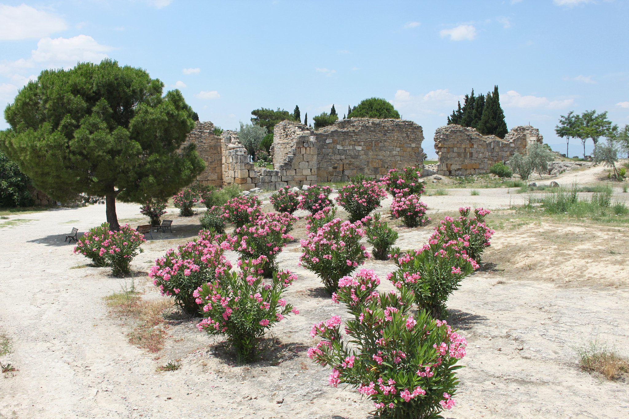 Canon EOS 500D (EOS Rebel T1i / EOS Kiss X3) + Canon EF-S 18-55mm F3.5-5.6 sample photo. Pamukkale photography