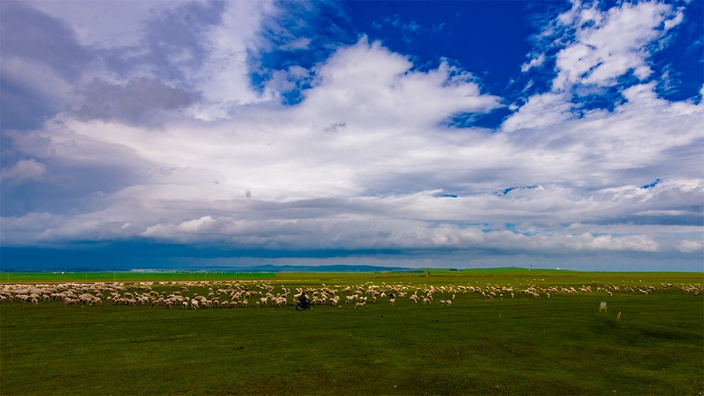 Nikon D4 sample photo. Hulunbuir prairie photography
