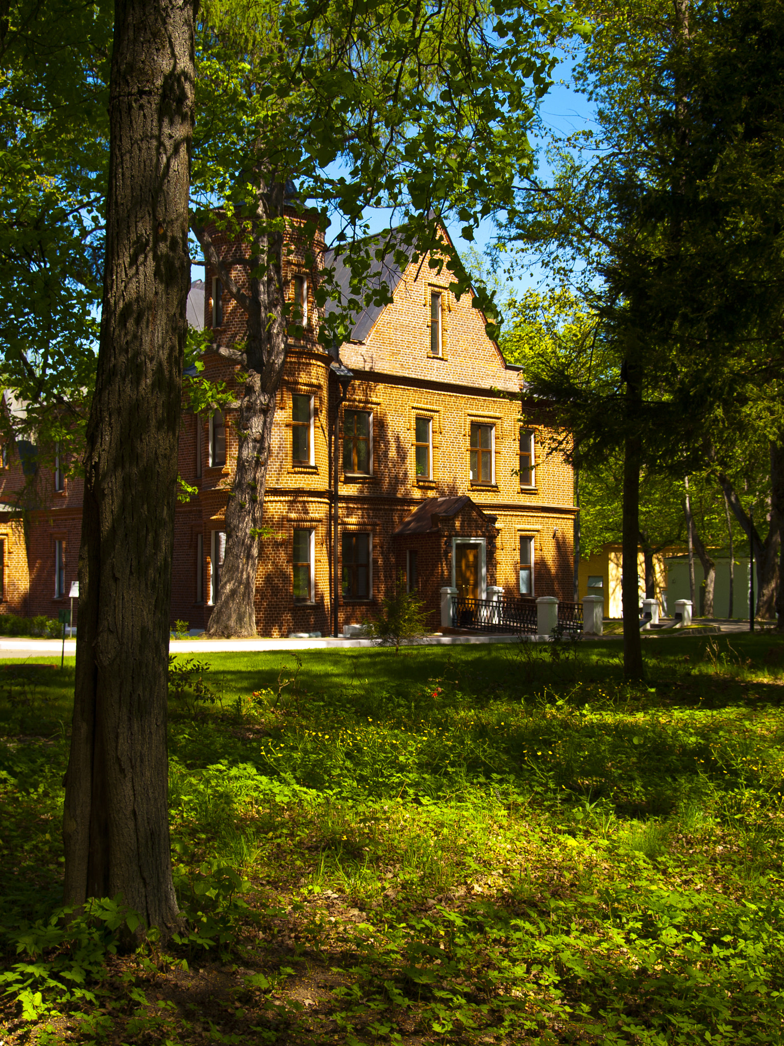 Olympus E-520 (EVOLT E-520) + SIGMA 18-50mm F2.8 DC sample photo. Spring day in moscow region photography