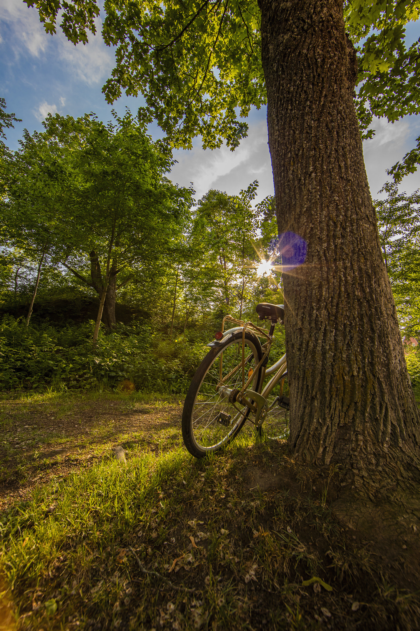 Canon EF 14mm F2.8L II USM sample photo. Midsummers day photography