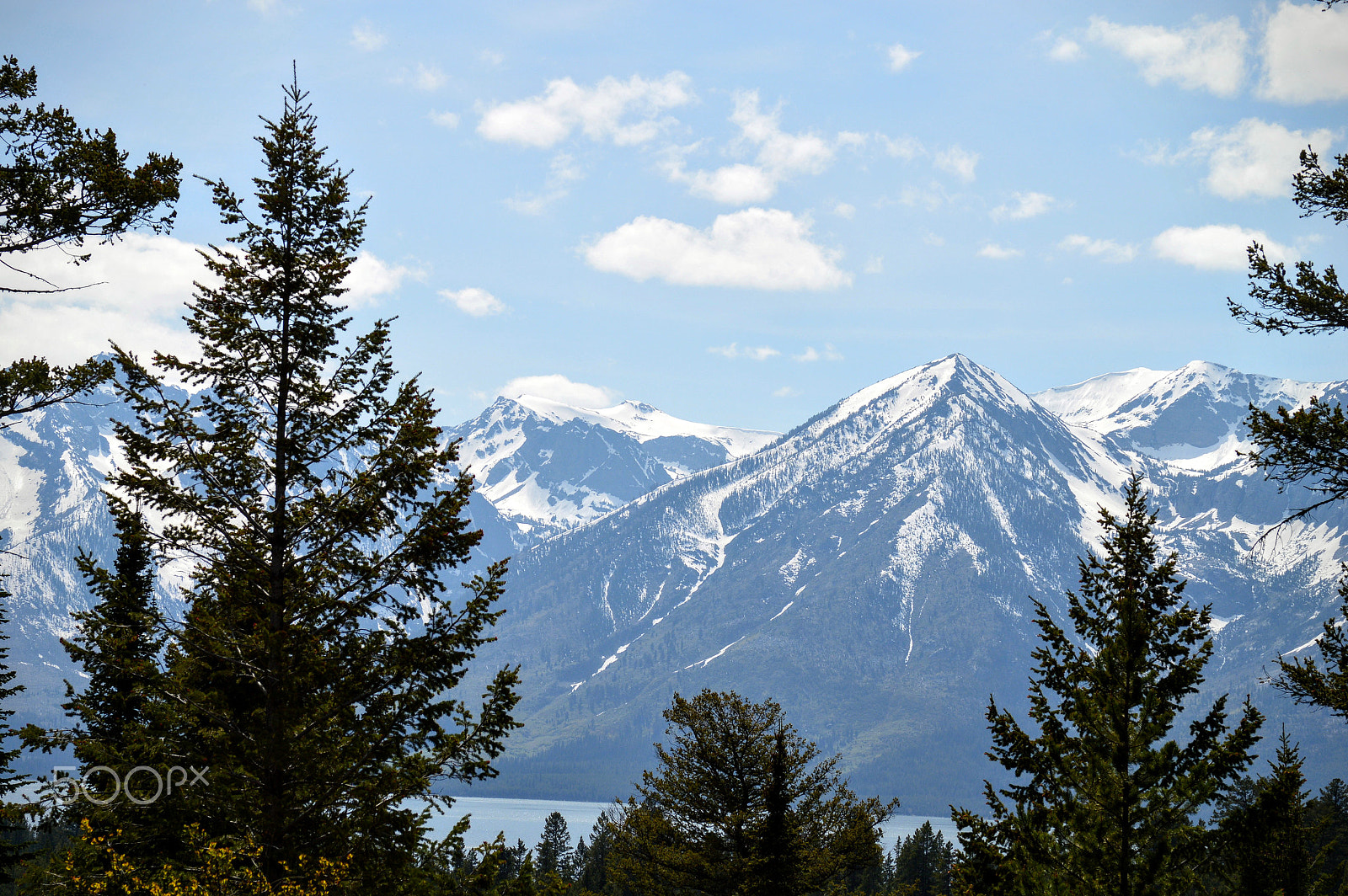Nikon D3200 + AF-S Zoom-Nikkor 24-85mm f/3.5-4.5G IF-ED sample photo. Mountains framed by pine trees photography
