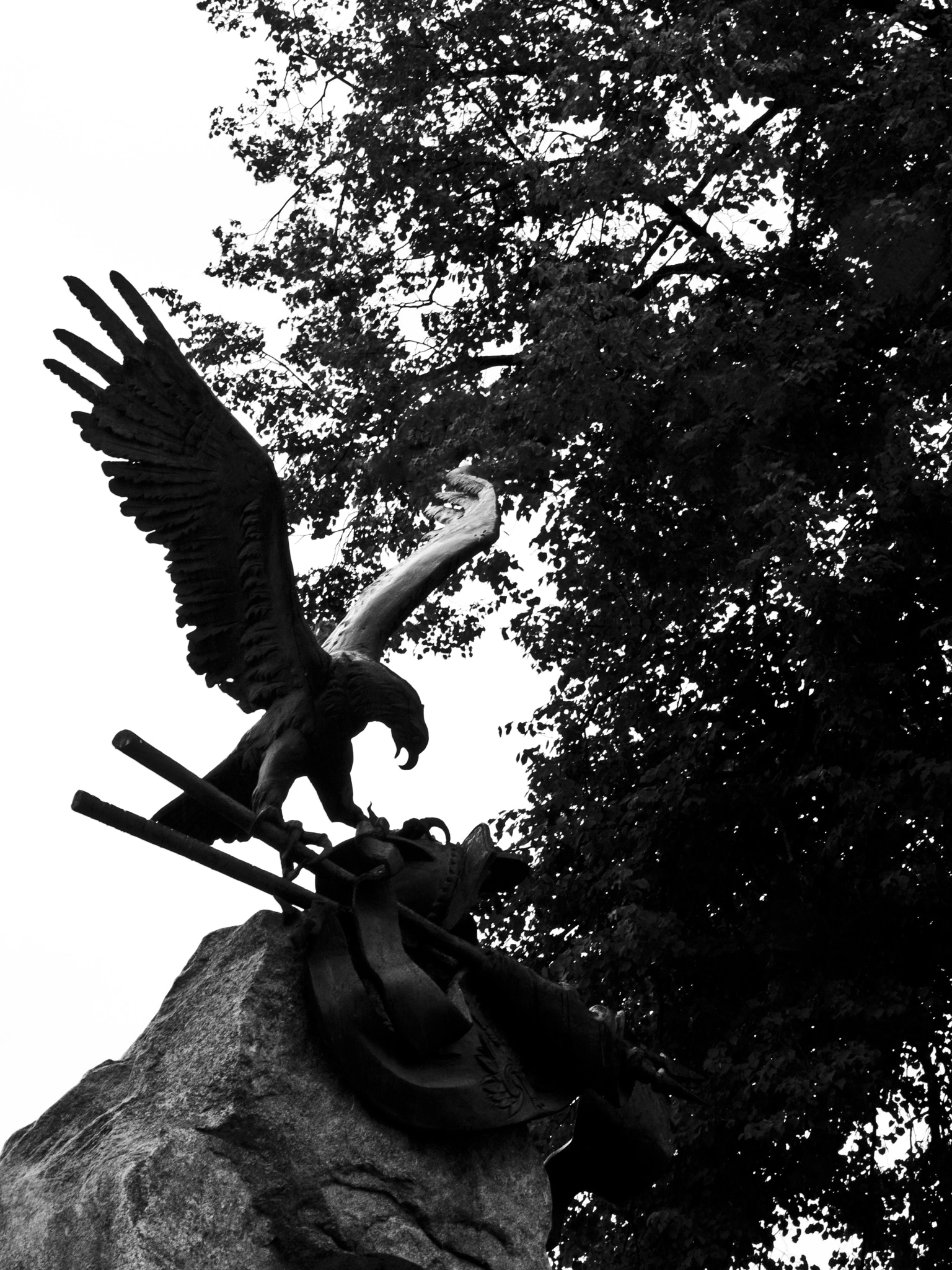 Olympus E-520 (EVOLT E-520) + SIGMA 18-50mm F2.8 DC sample photo. A stone eagle photography