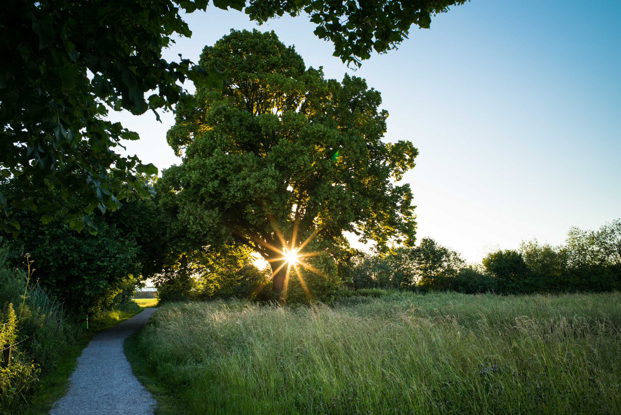 Leica Elmarit-M 28mm F2.8 ASPH sample photo. A perfect summer evening photography