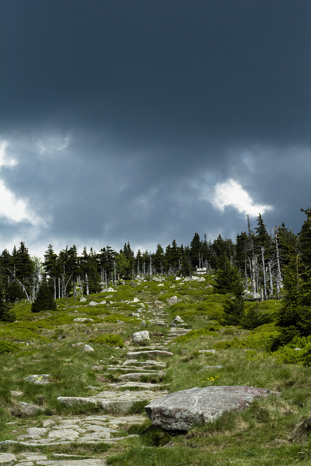 Nikon D5200 + AF Nikkor 50mm f/1.8 sample photo. Stairway to heaven photography