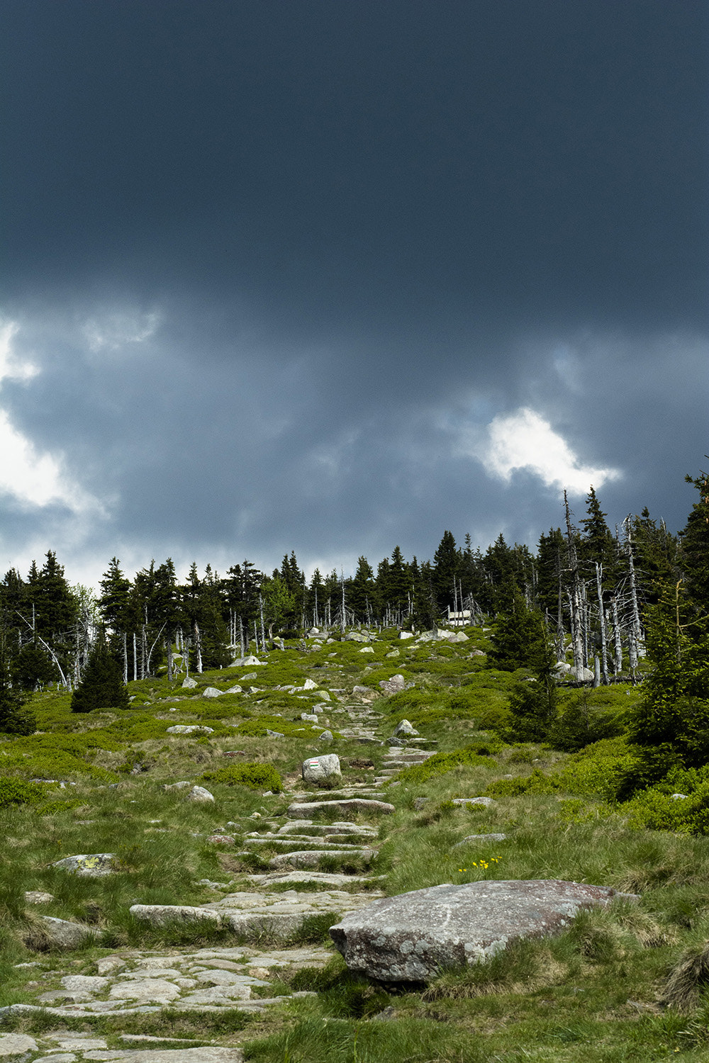 Nikon D5200 + AF Nikkor 50mm f/1.8 sample photo. Stairway to heaven photography