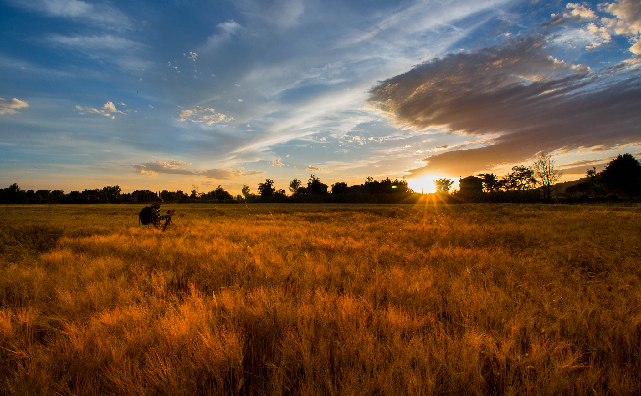 Canon EF-S 10-18mm F4.5–5.6 IS STM sample photo. Tuscany cornfield photography