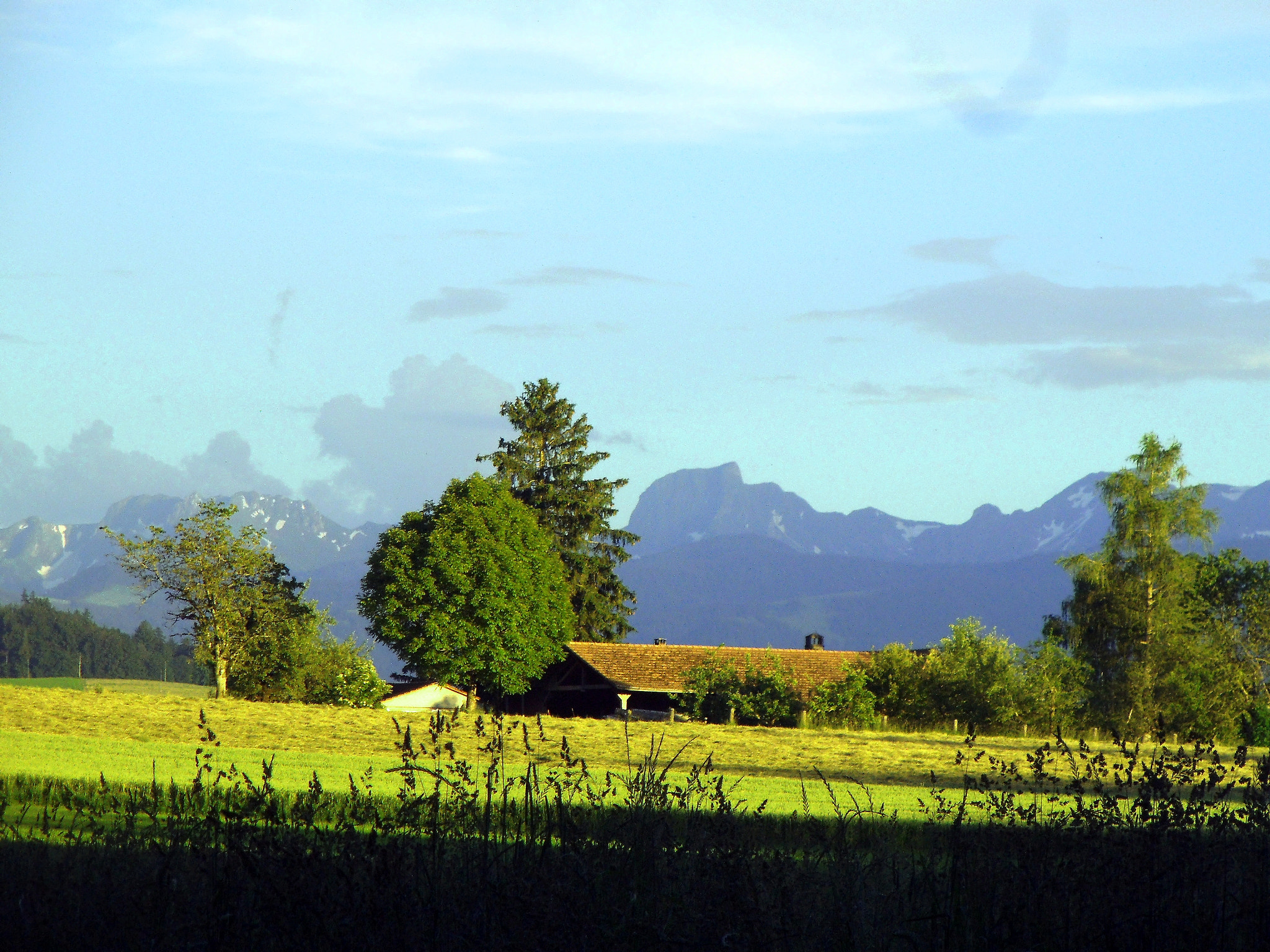 Fujifilm FinePix JZ250/JZ260 sample photo. Stockhorn - gantrisch - ochse photography