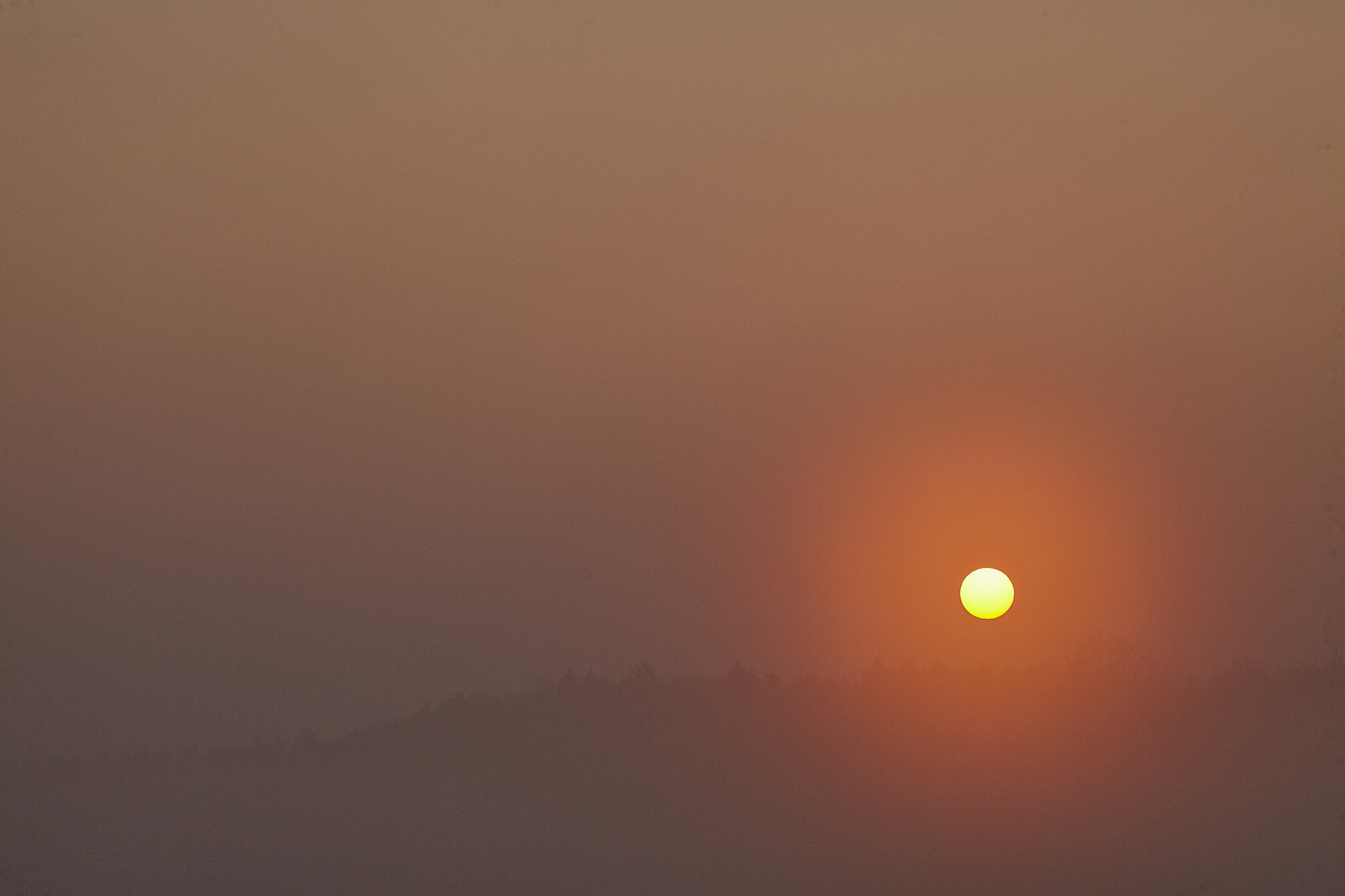 Tamron SP 150-600mm F5-6.3 Di VC USD sample photo. Morning sun photography