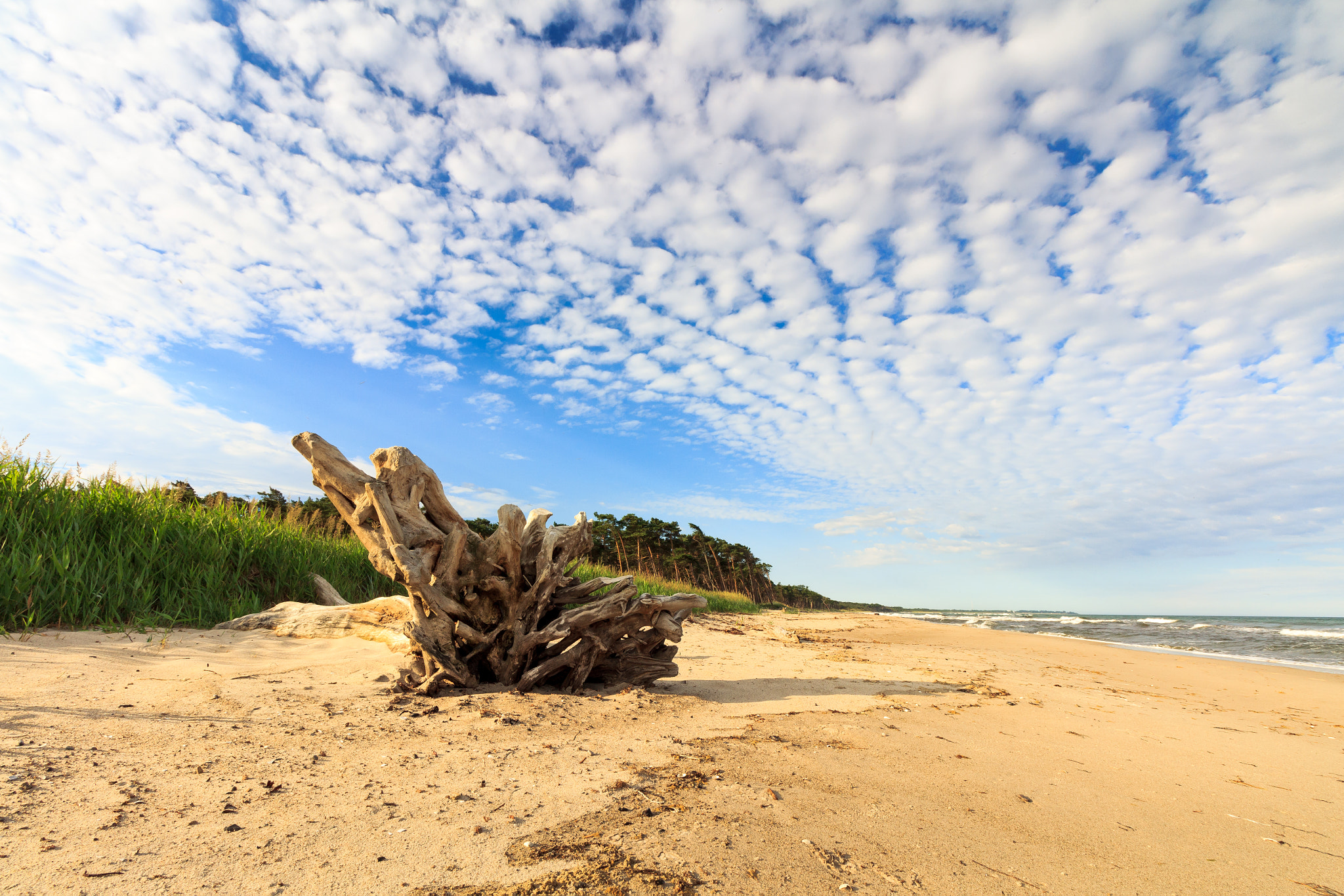 Canon EF-S 10-18mm F4.5–5.6 IS STM sample photo. Weststrand photography