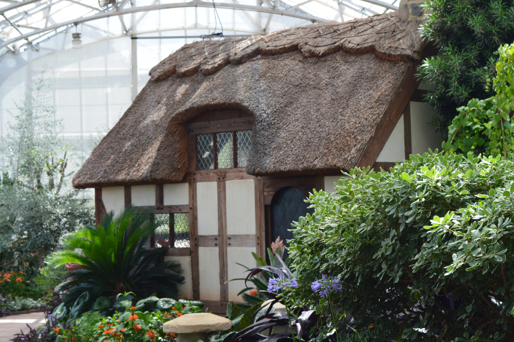 AF Zoom-Nikkor 35-70mm f/3.3-4.5 N sample photo. [] photography