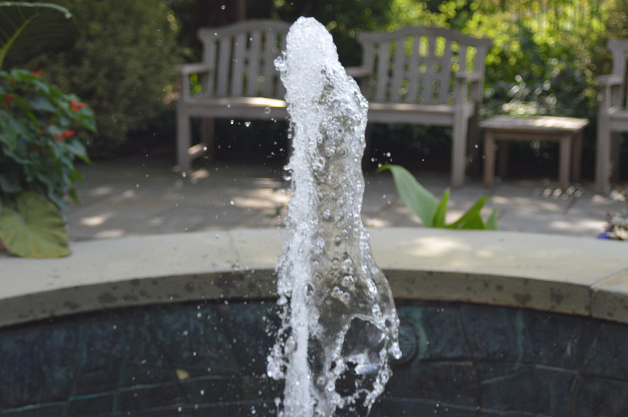 AF Zoom-Nikkor 35-70mm f/3.3-4.5 N sample photo. Lewis ginter botanical garden photography