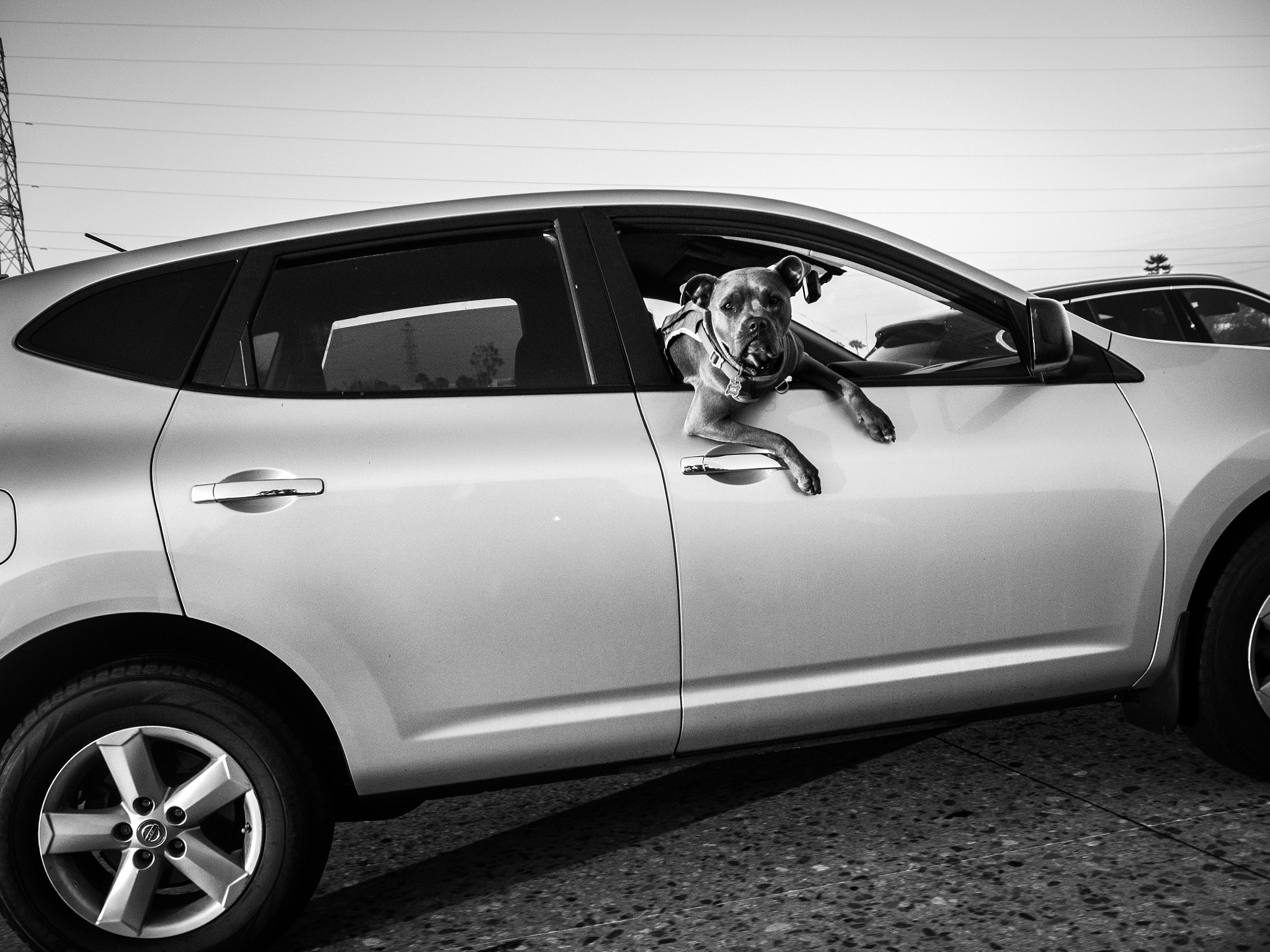 Panasonic Leica D Vario-Elmarit 14-50mm F2.8-3.5 ASPH Mega OIS sample photo. 405 freeway south photography