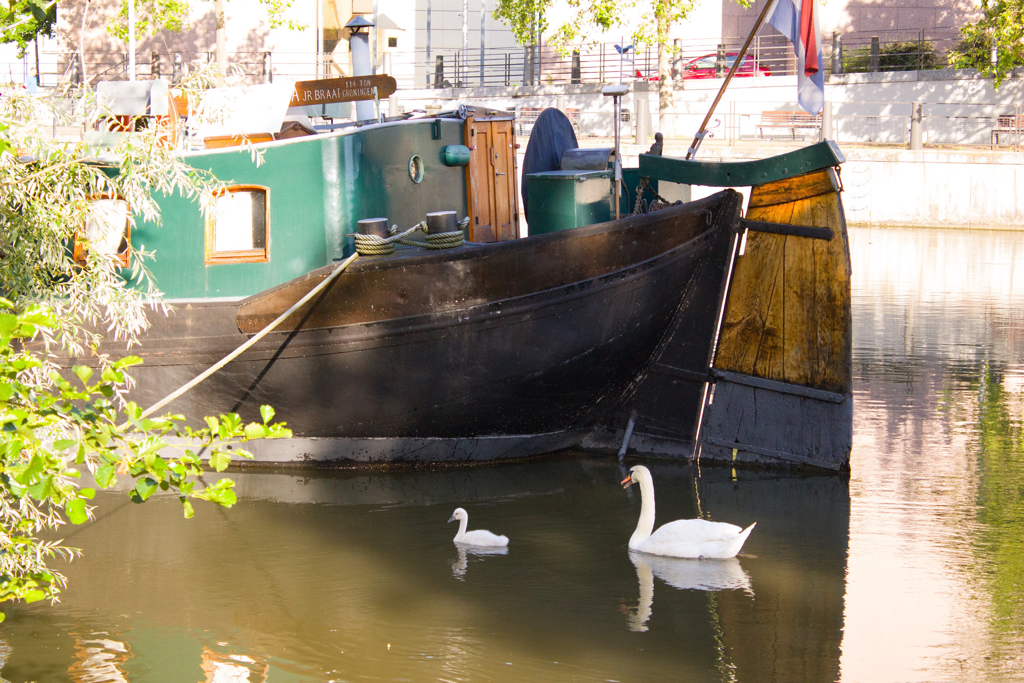Canon EF-S 18-55mm F3.5-5.6 III sample photo. Floating photography