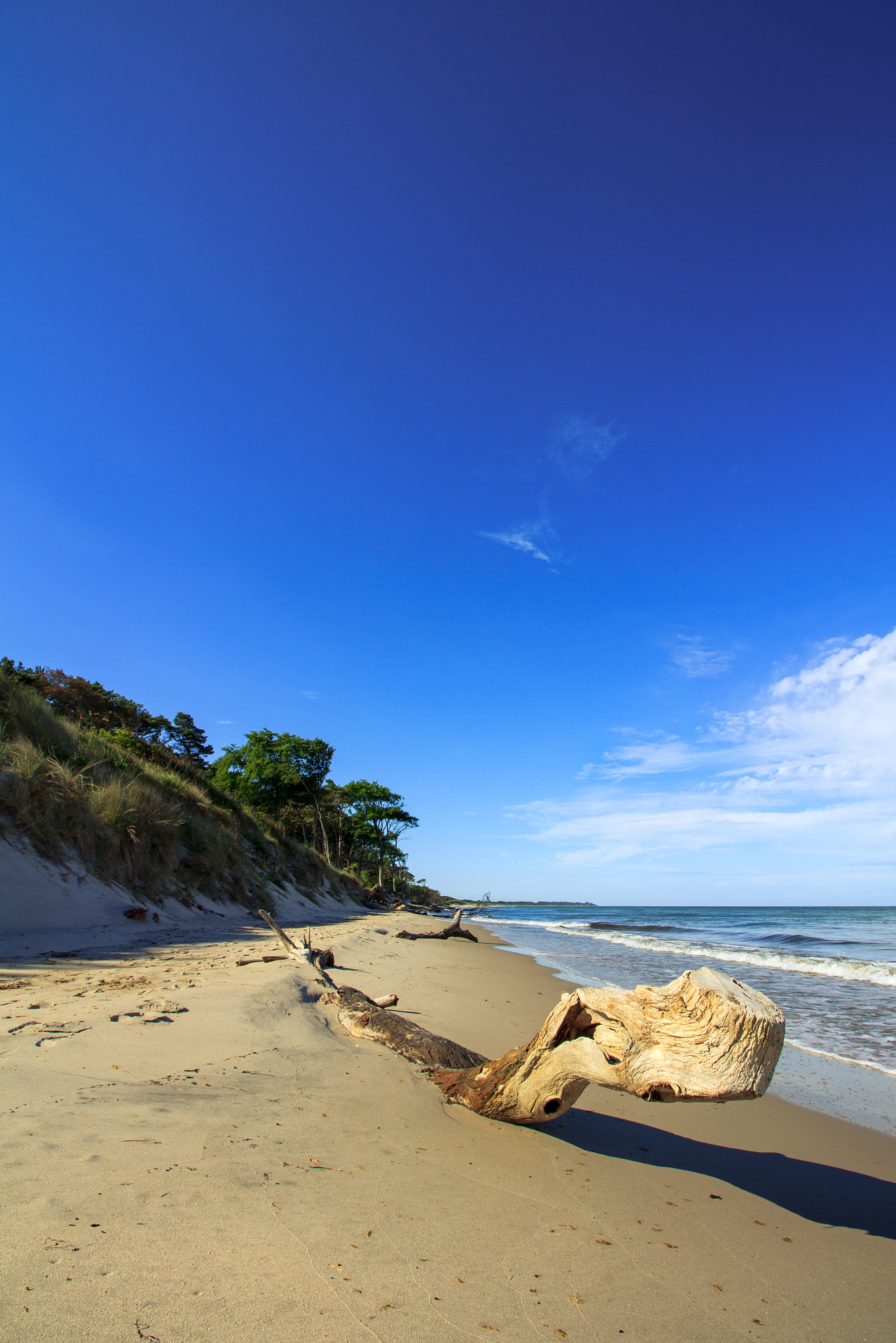 Canon EF-S 10-18mm F4.5–5.6 IS STM sample photo. Weststrand 2 photography