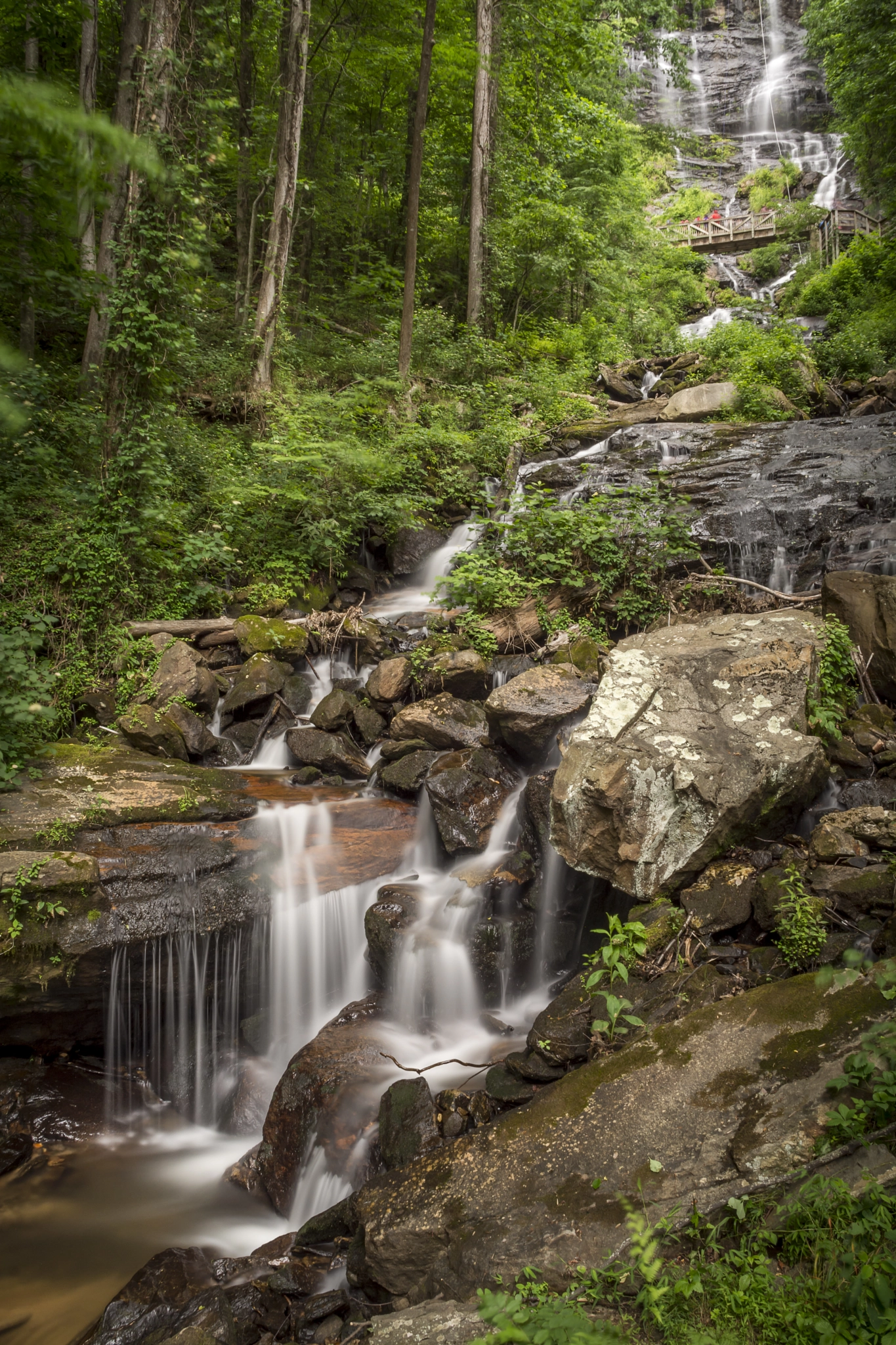 Nikon D7100 + Sigma 18-50mm F3.5-5.6 DC sample photo. Amicalola falls  photography