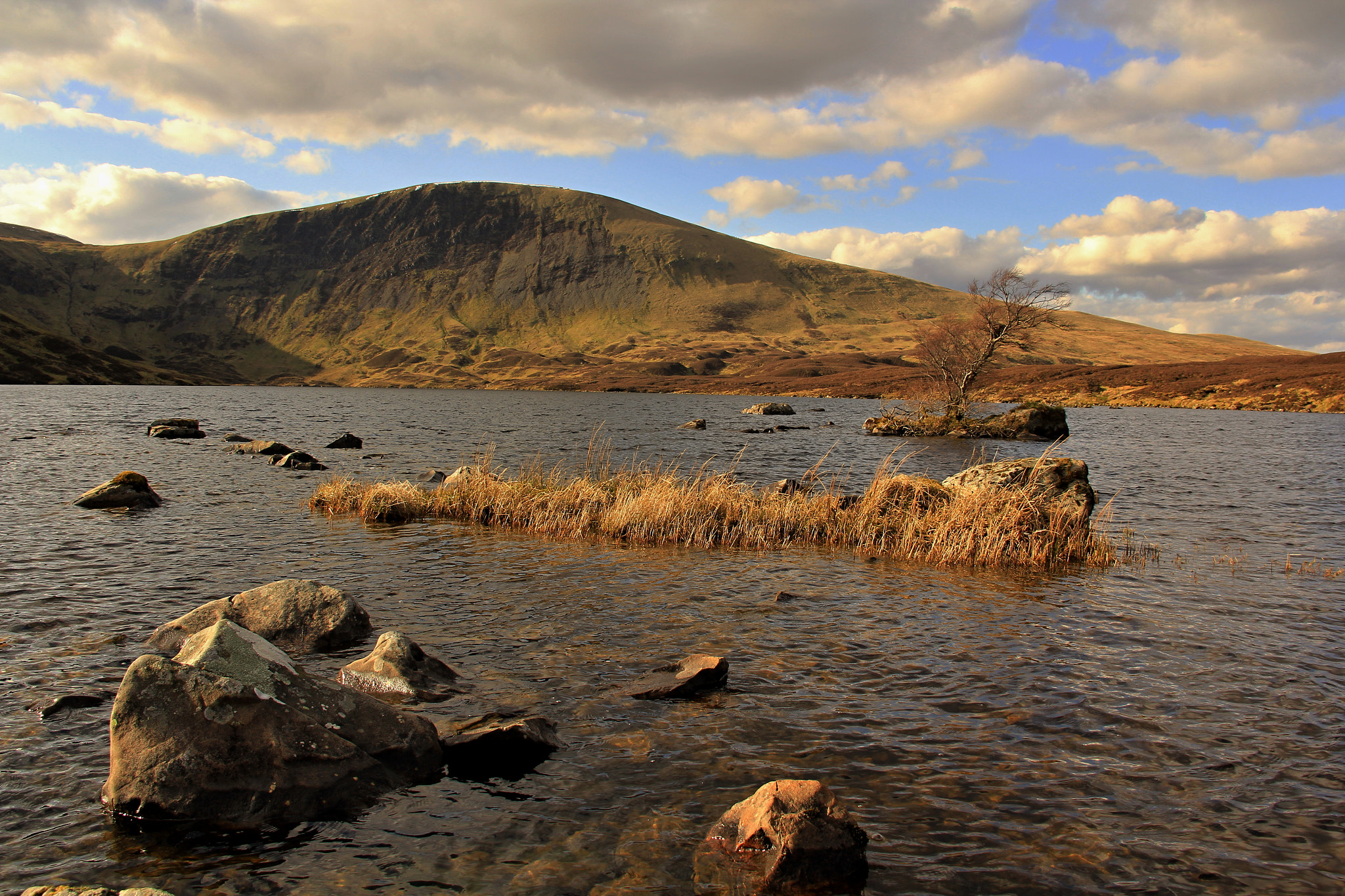 Canon EOS 60D + Canon EF 50mm f/1.8 sample photo. Loch skeen.  scotland  photography