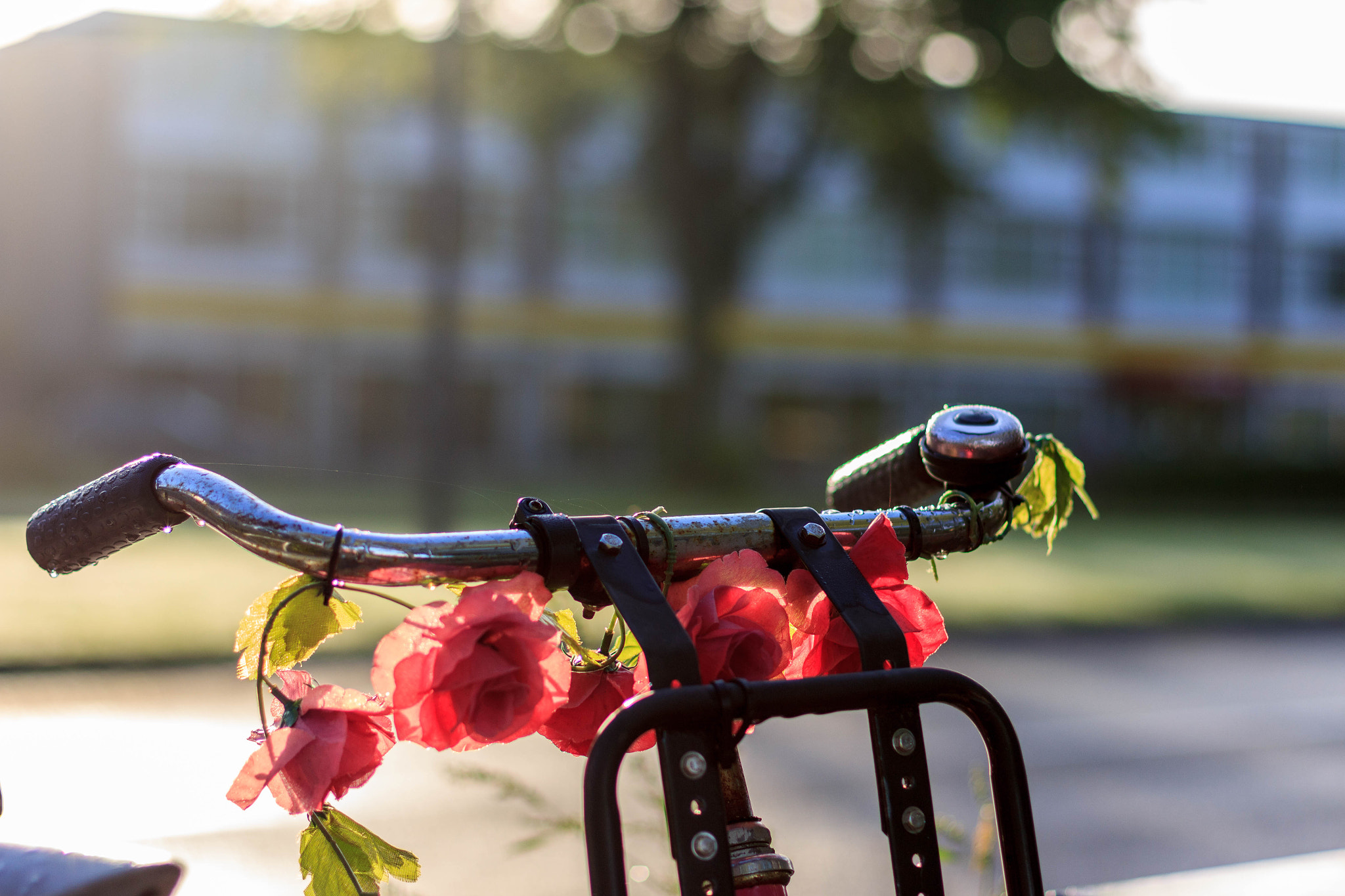 Canon EOS 600D (Rebel EOS T3i / EOS Kiss X5) + Canon EF 50mm F1.4 USM sample photo. Nice bicycle photography