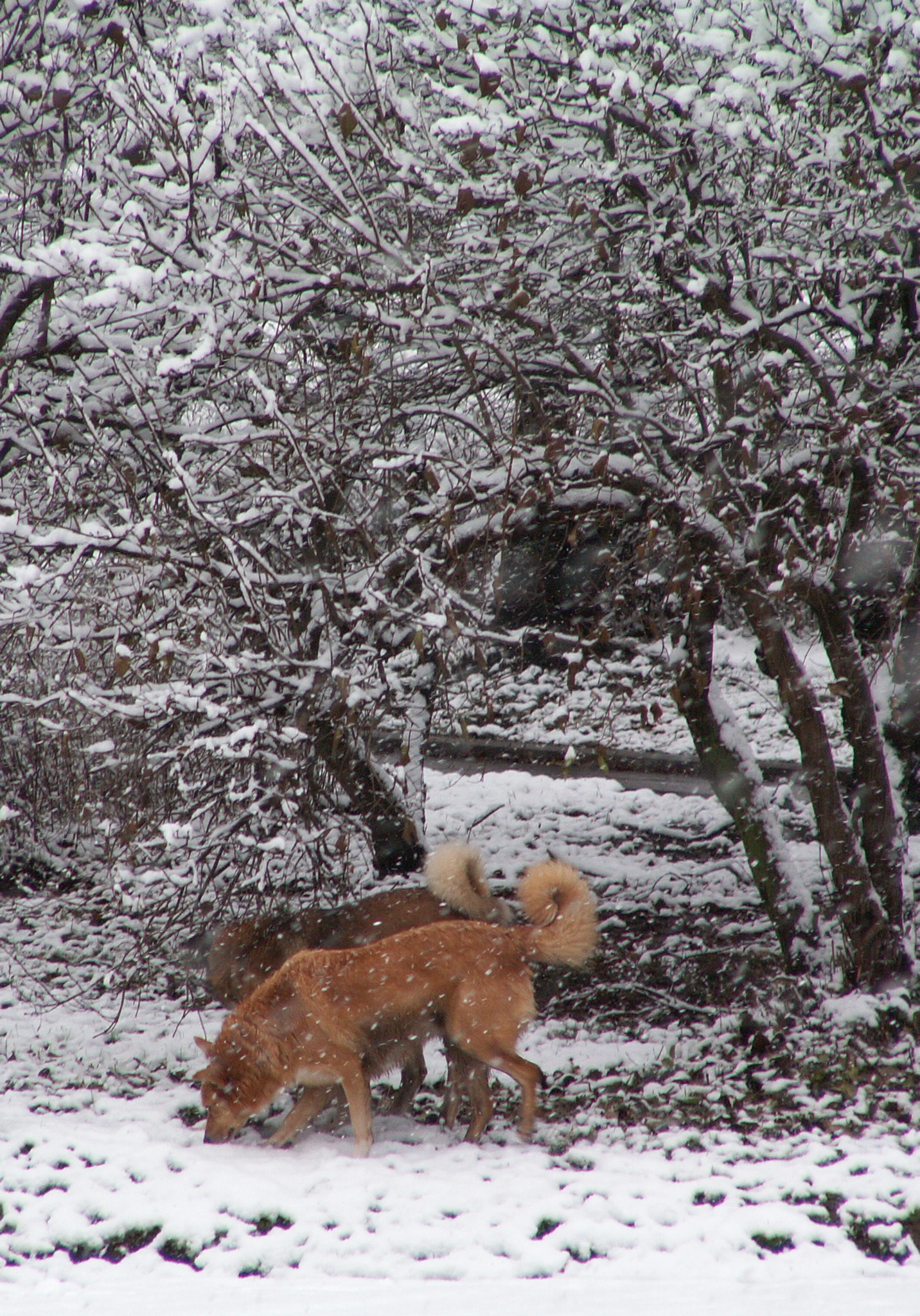 KONICA MINOLTA DiMAGE Z3 sample photo. It is cold photography