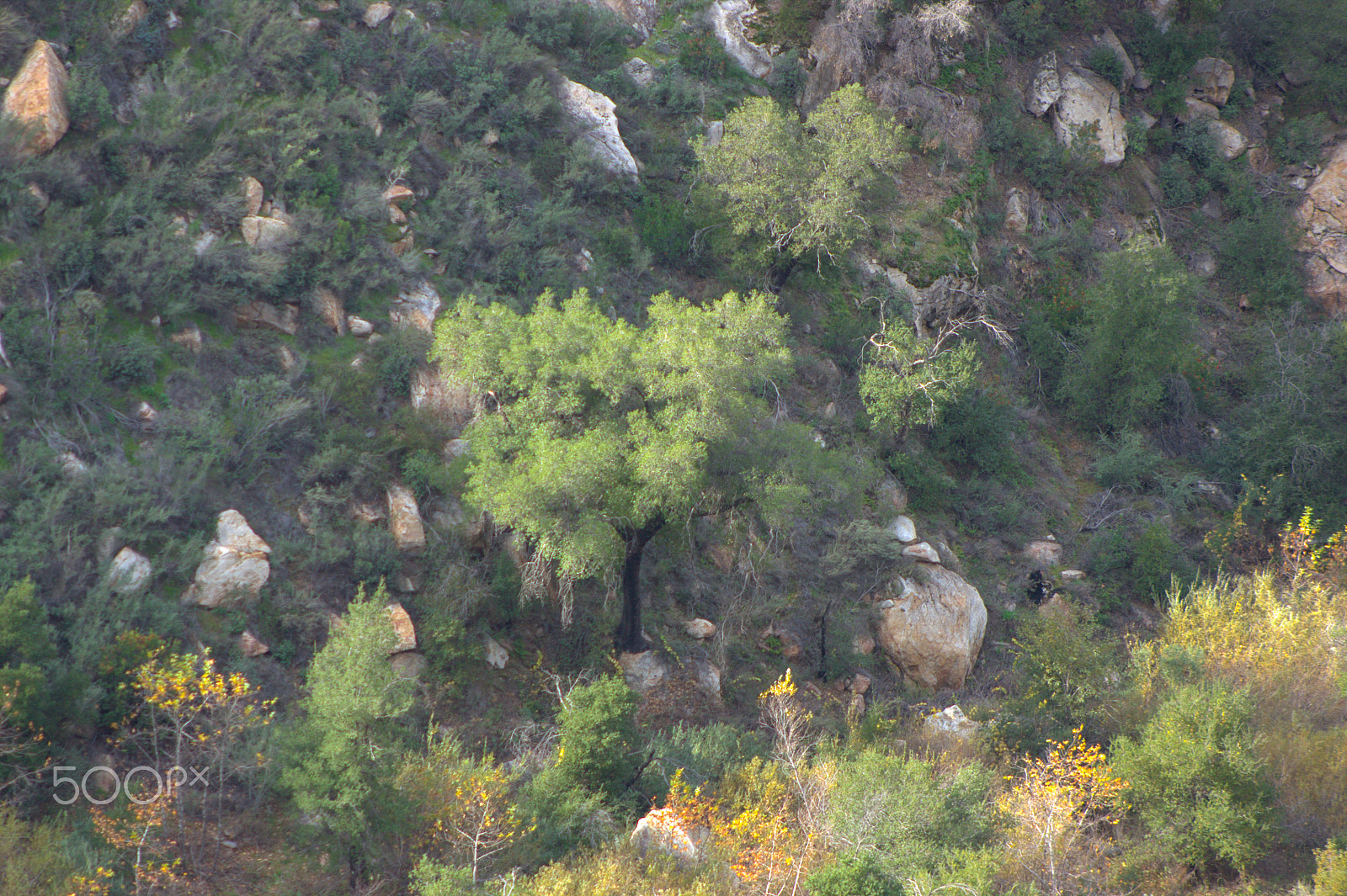 Canon EF 75-300mm f/4-5.6 USM sample photo. Hike at three sisters falls near san diego cali photography