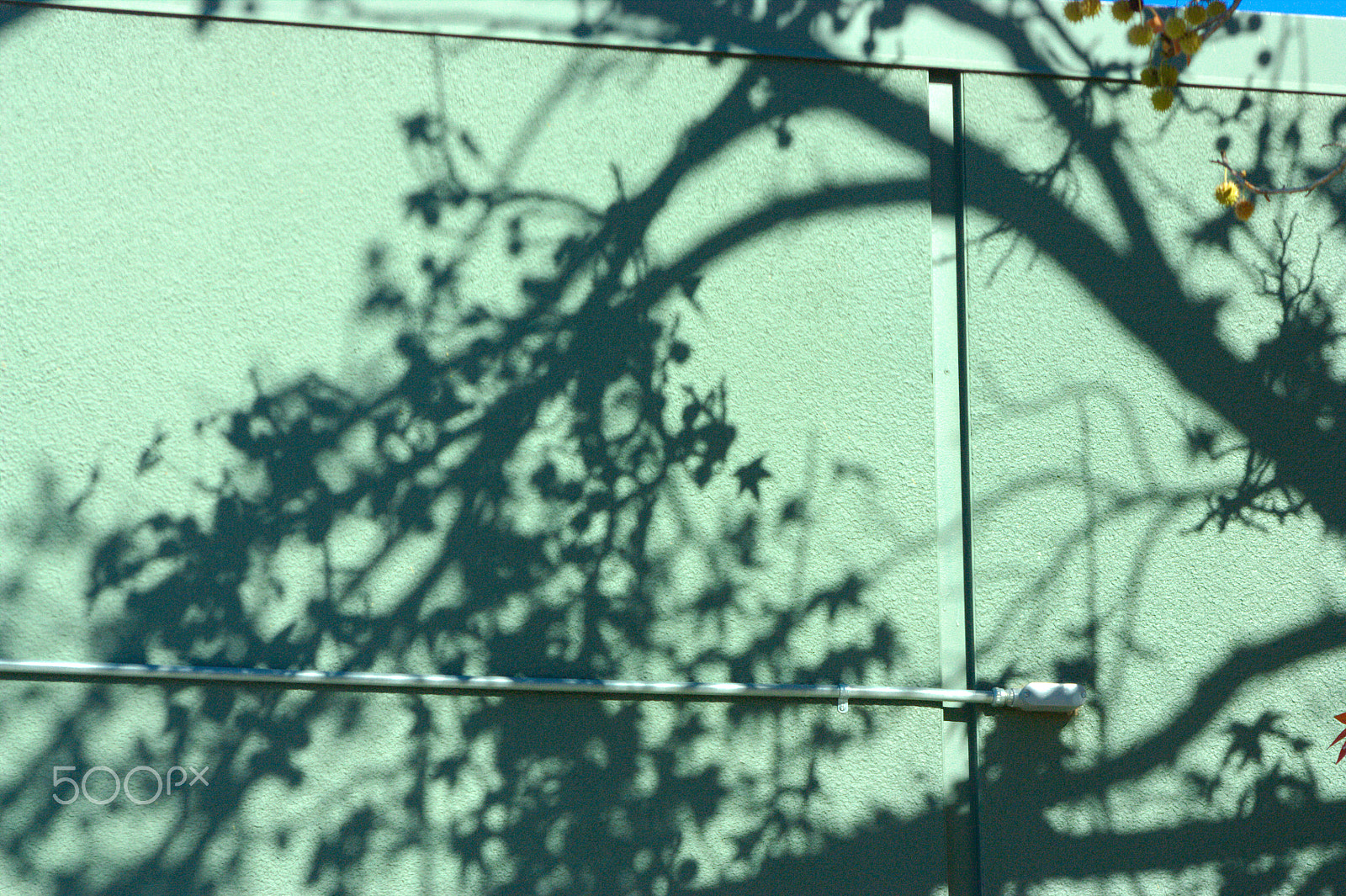 Canon EF 75-300mm f/4-5.6 USM sample photo. Shadow trees san diego cali photography