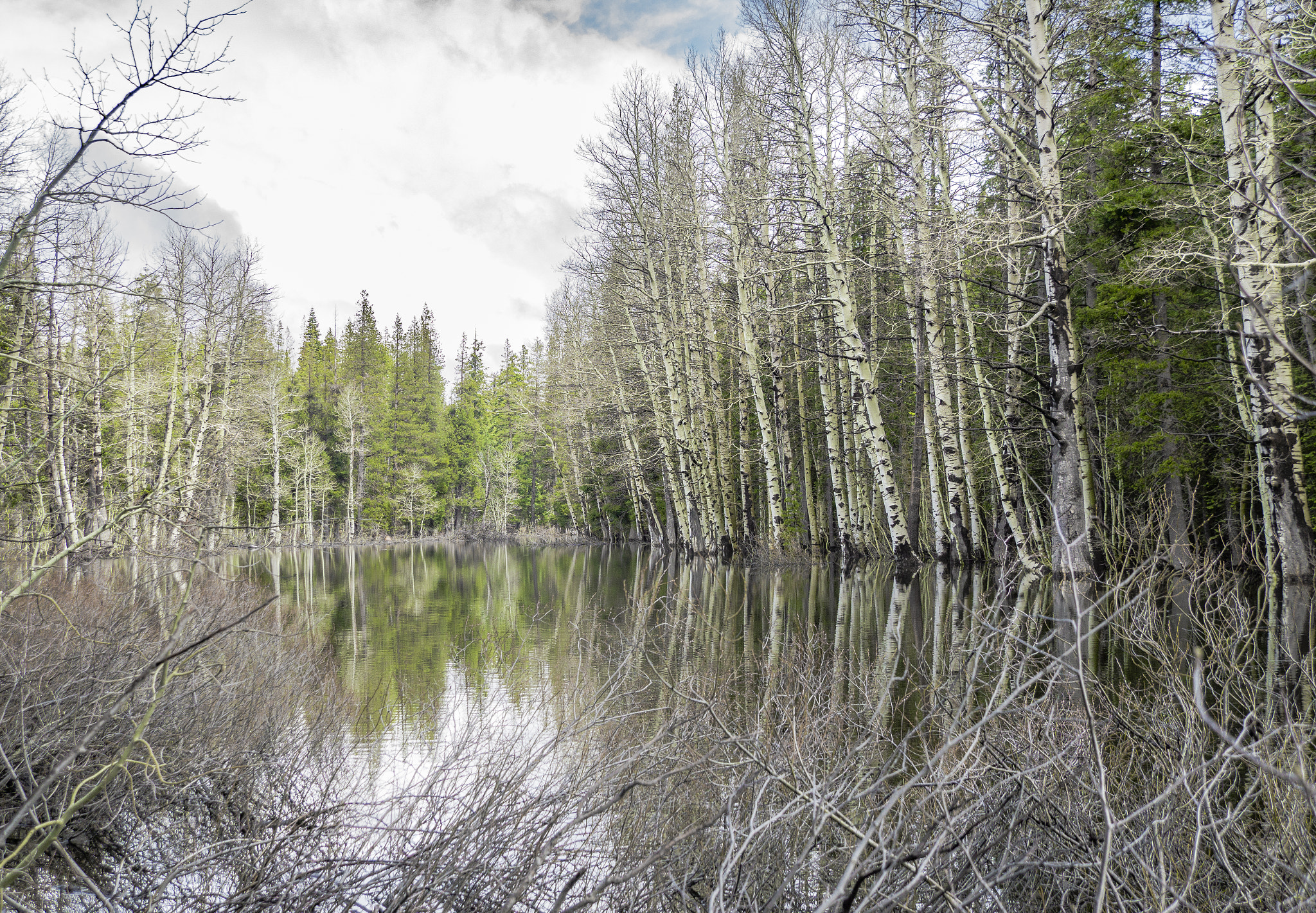 Sony DT 18-250mm F3.5-6.3 sample photo. Still lake photography