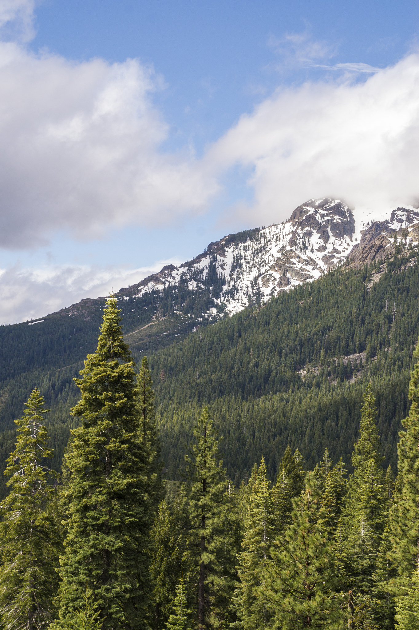 Sony DT 18-250mm F3.5-6.3 sample photo. Mount photography