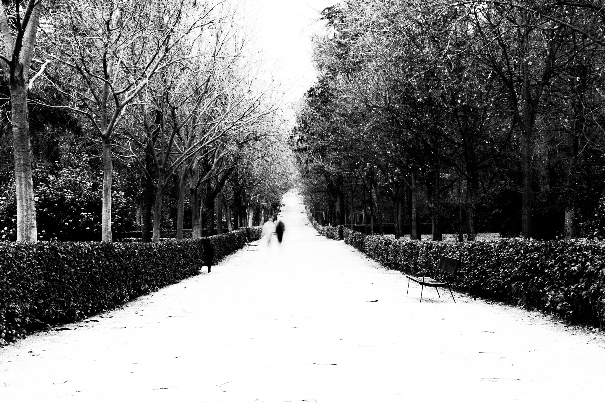 Nikon D80 sample photo. Ghosts in madrid photography