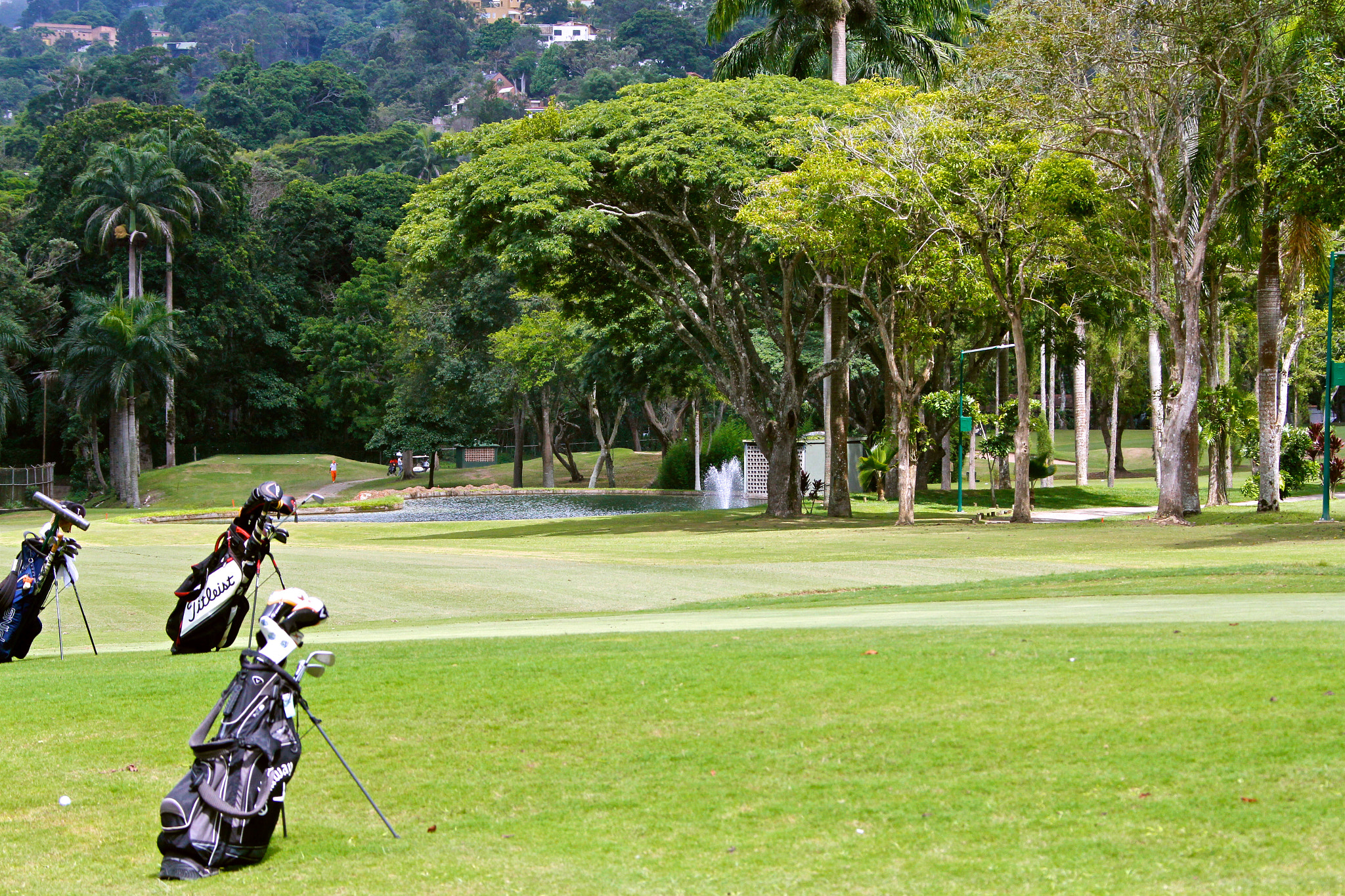 Canon EF 28-300mm F3.5-5.6L IS USM sample photo. Lagunita country club hoyo 15 photography