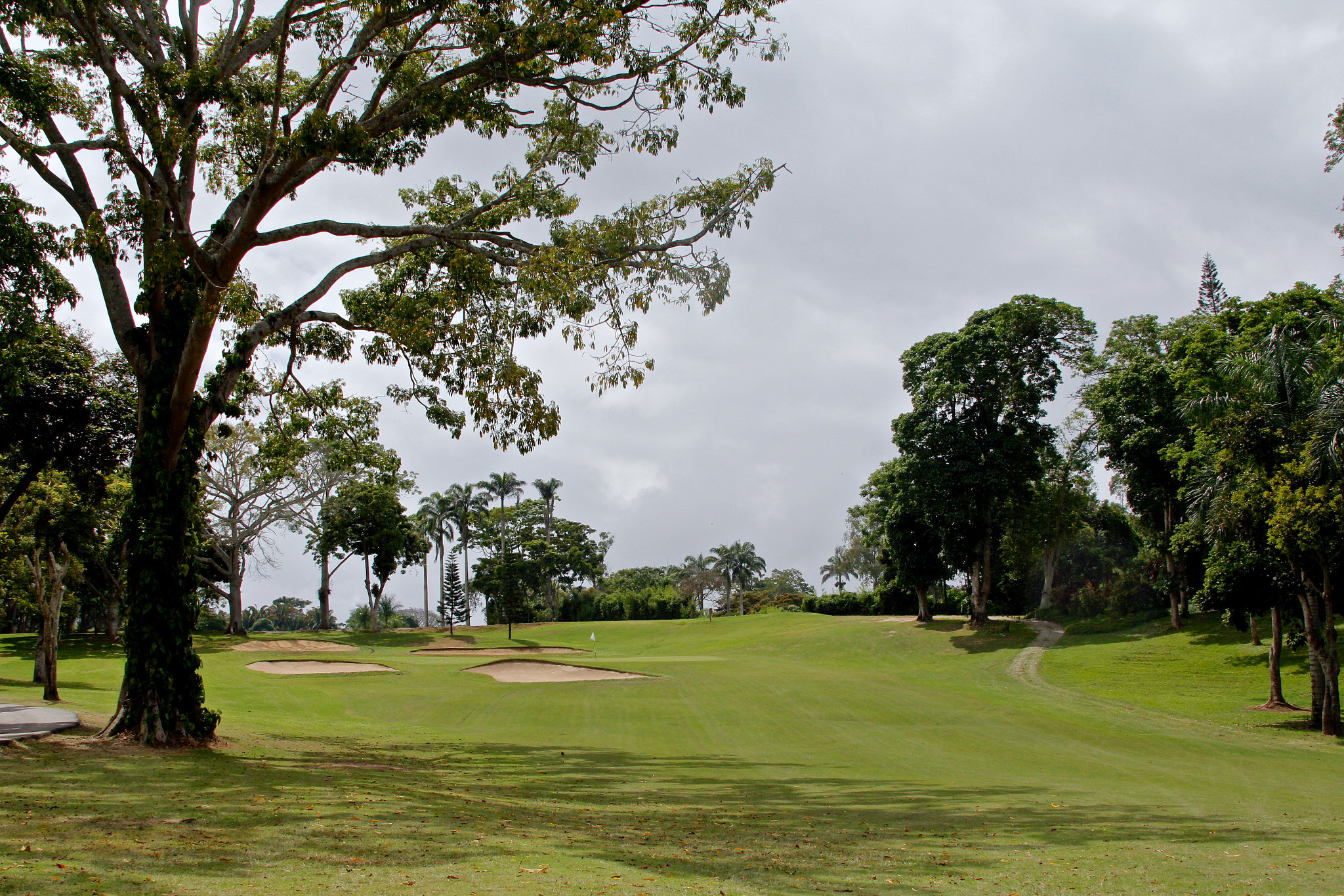Canon EF 28-300mm F3.5-5.6L IS USM sample photo. Lagunita country club hoyo 16 photography