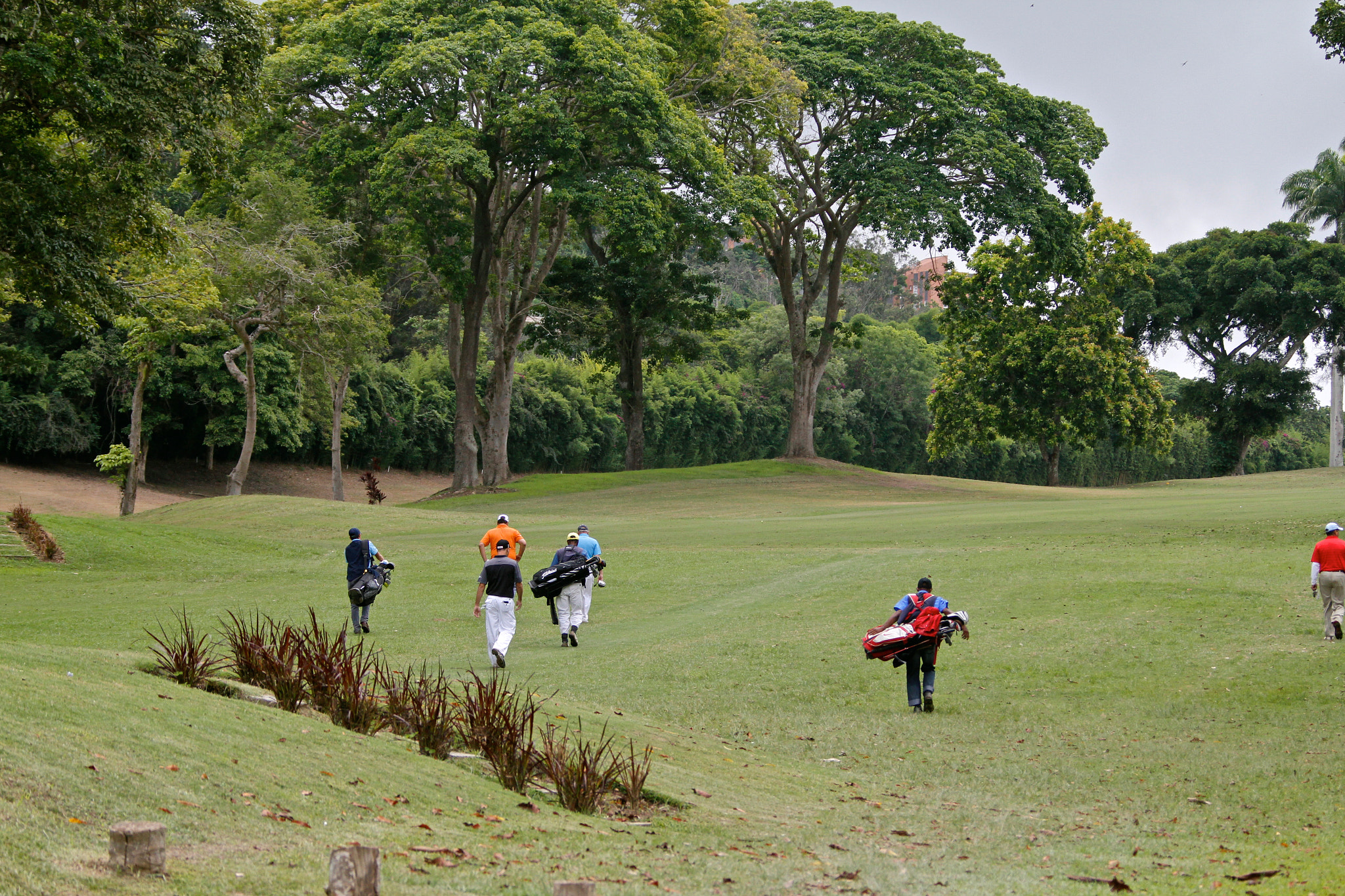 Canon EF 28-300mm F3.5-5.6L IS USM sample photo. Lagunita country club photography