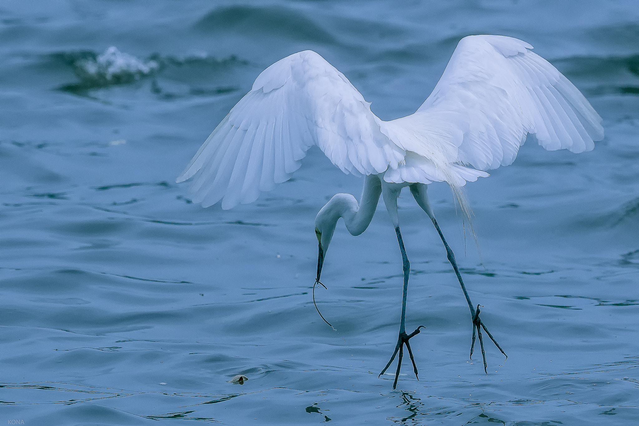 Nikon AF-S Nikkor 400mm F2.8G ED VR II sample photo. Sagi photography