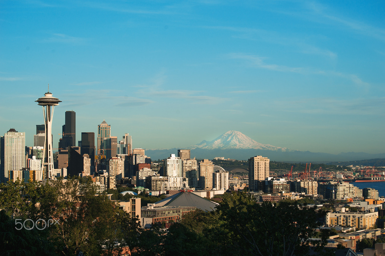 Sony 75-300mm F4.5-5.6 sample photo. Seattle photography
