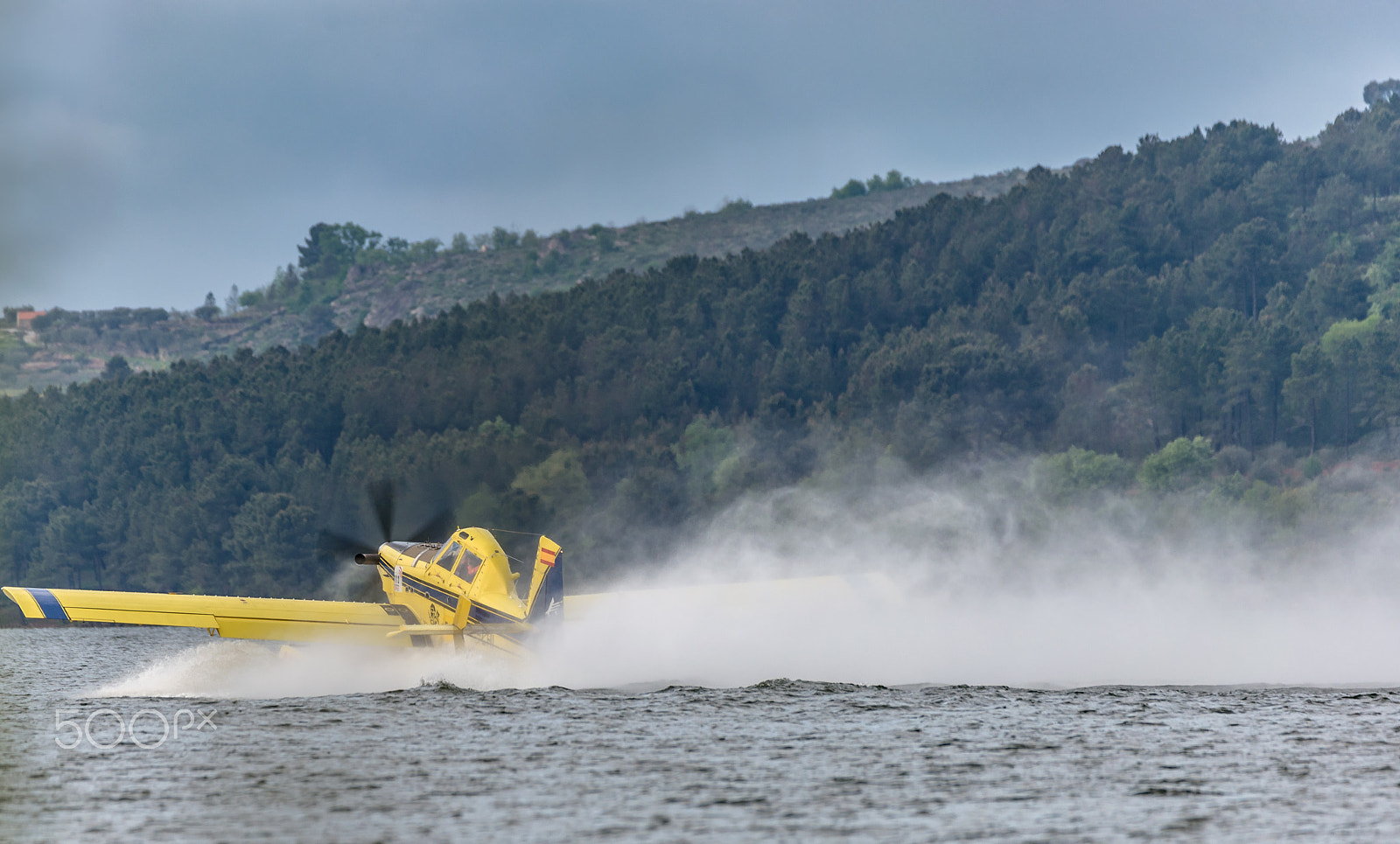 Sigma 150-600mm F5-6.3 DG OS HSM | C sample photo. Taking off photography
