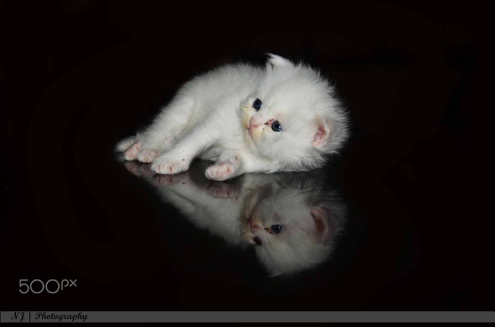 AF Zoom-Nikkor 24-50mm f/3.3-4.5D sample photo. I am google... photography