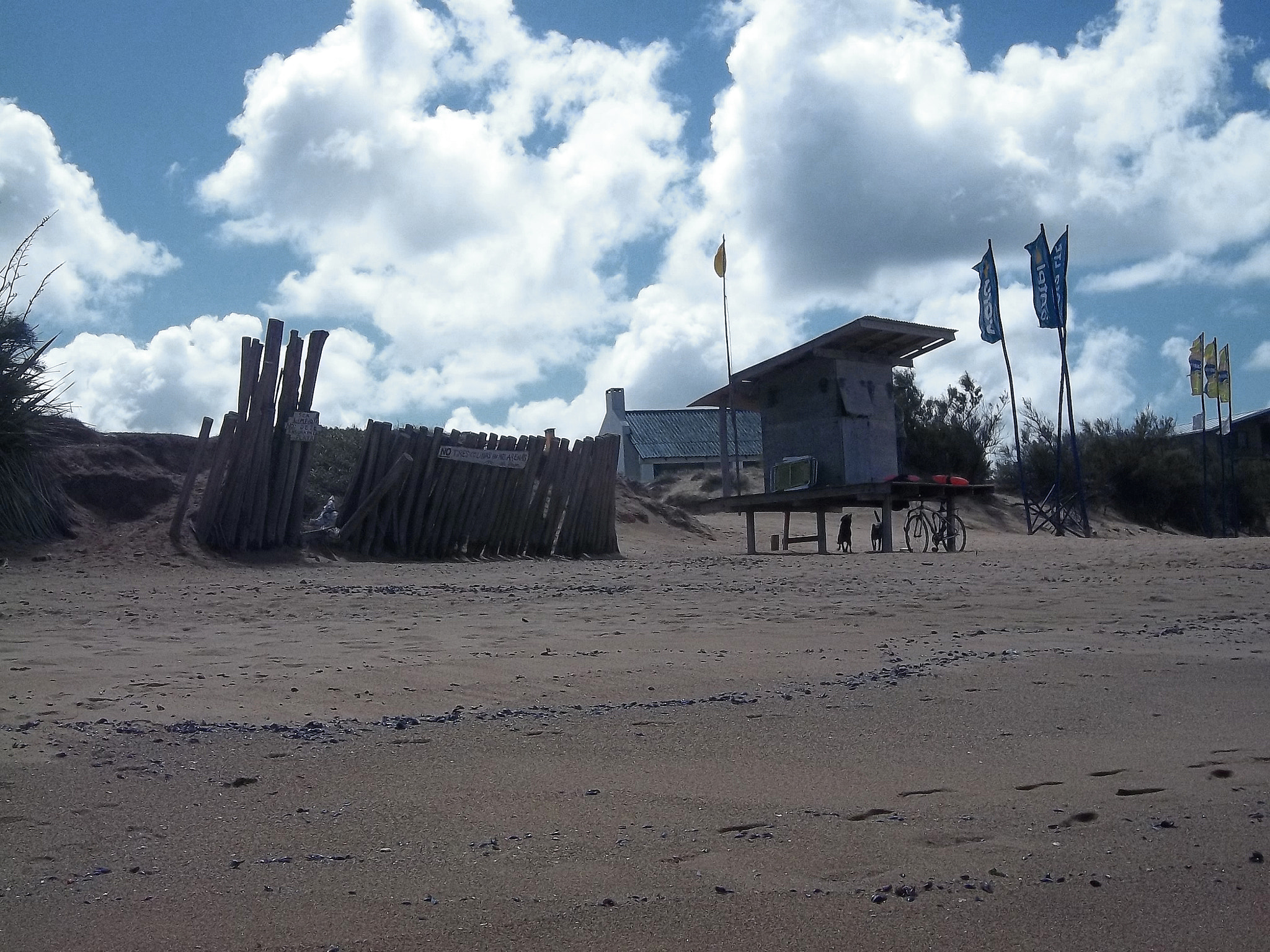 Kodak EASYSHARE C143 DIGITAL CAMERA sample photo. Lonely beach photography