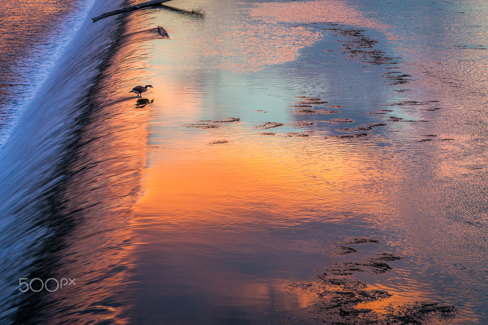 Nikon D800E sample photo. Reflections of a sunset photography