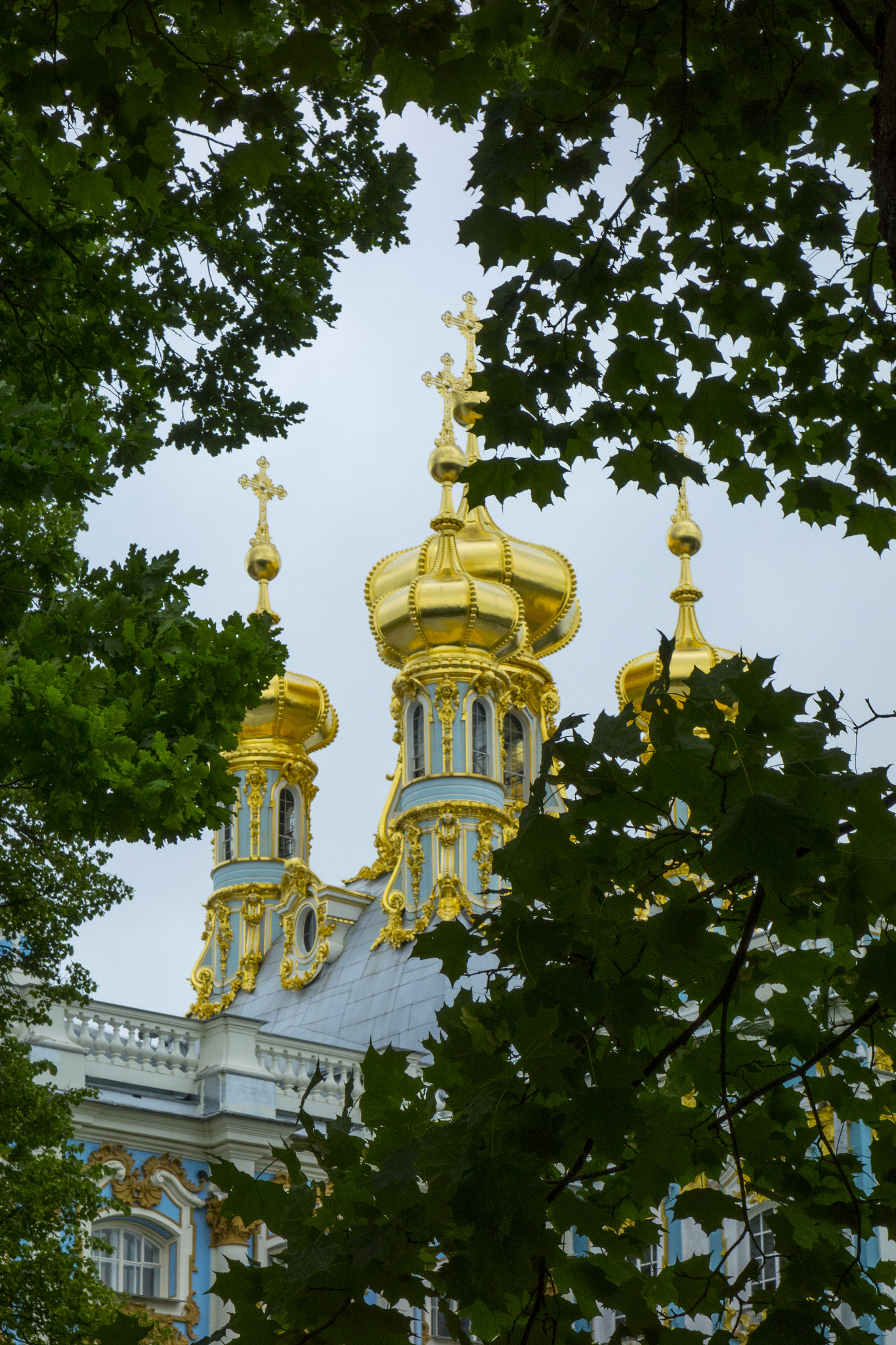 Hasselblad Stellar sample photo. Peterhof palace photography