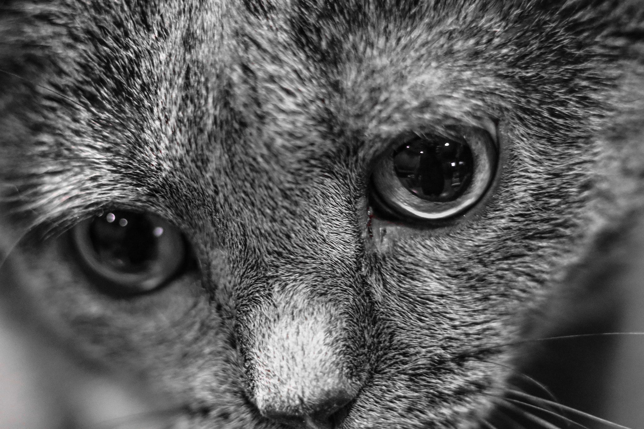 Canon 90mm sample photo. Moonbeam, kiss her for me photography