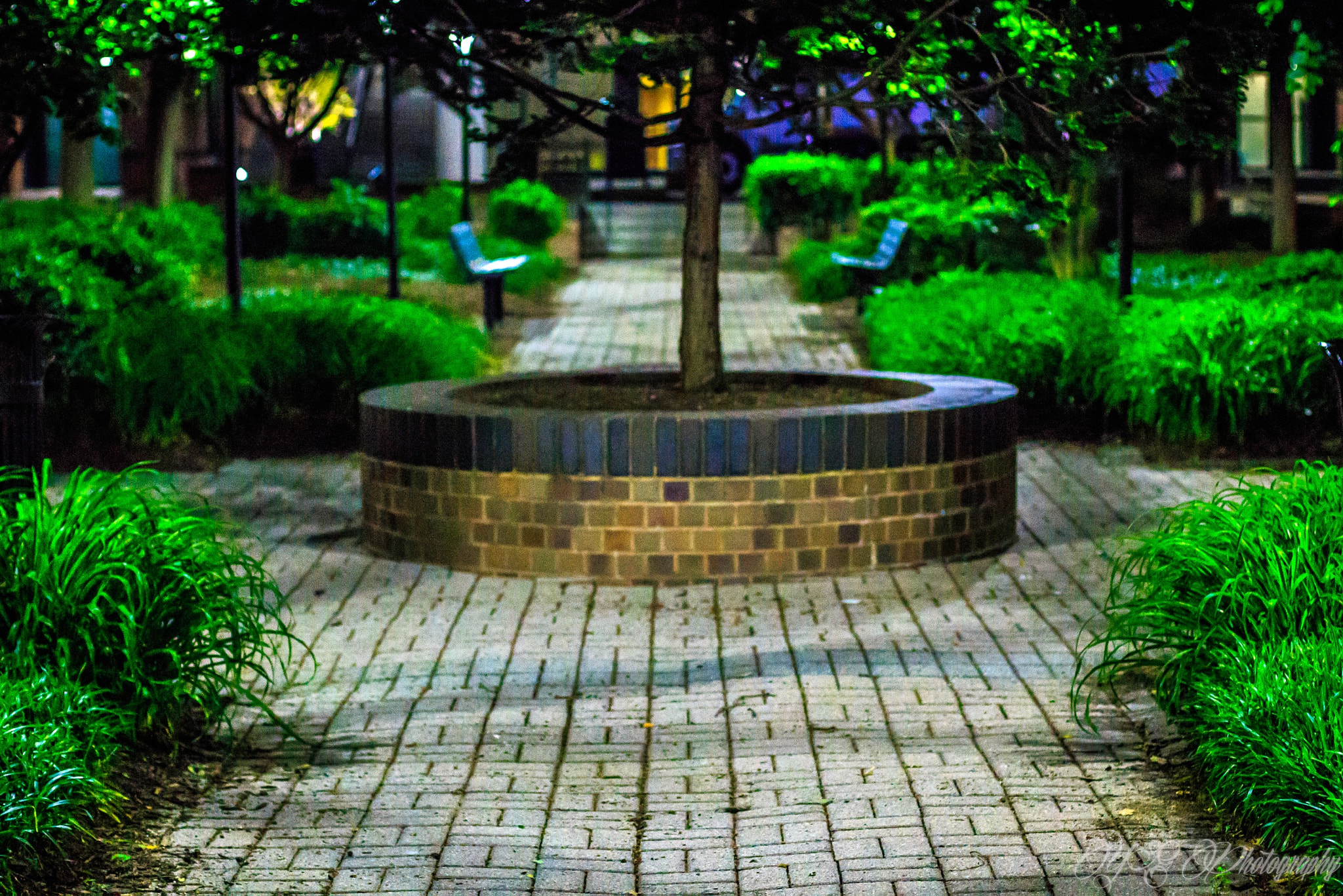 Canon EF 50mm F1.4 USM sample photo