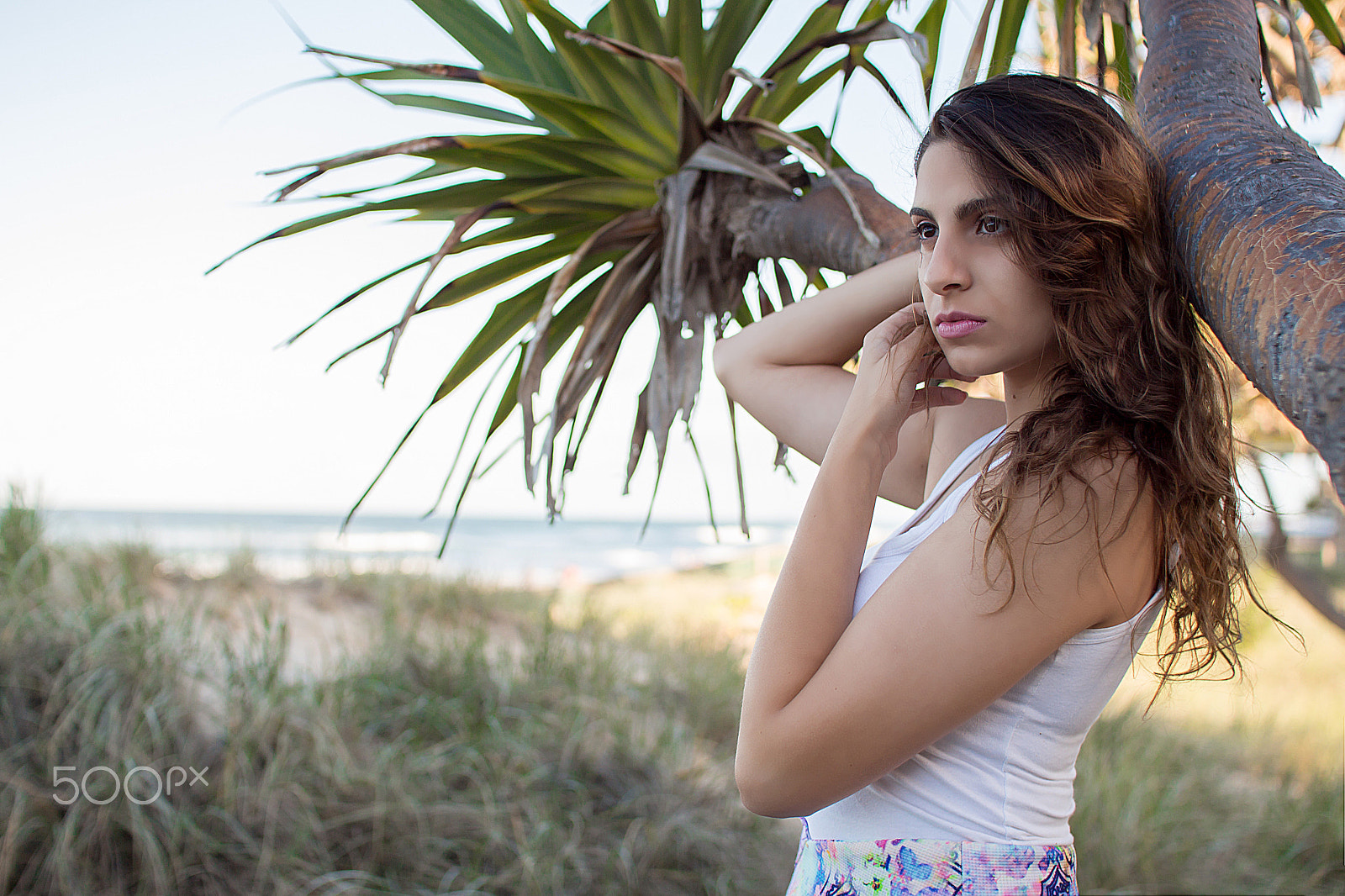 Sigma 30mm F1.4 EX DC HSM sample photo. Chantelle photography