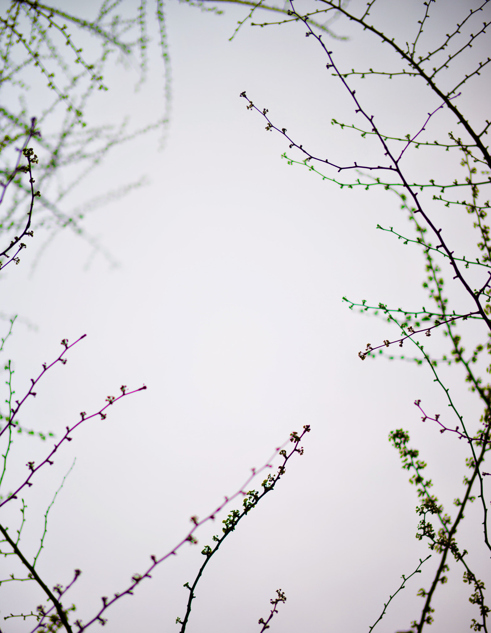 Sony Planar T* 50mm F1.4 ZA SSM sample photo. 나선입구(to heaven) photography