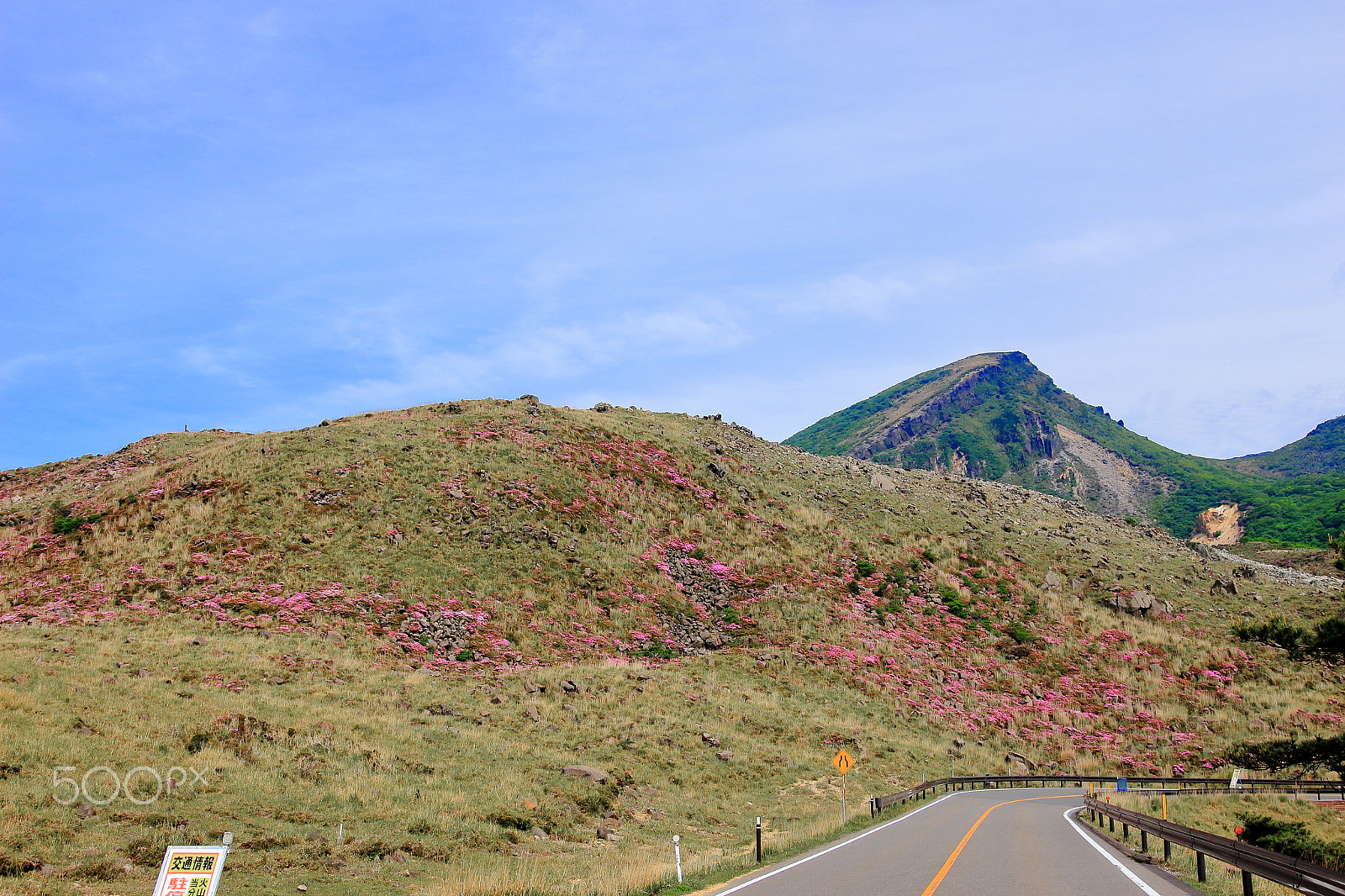 Sigma 18-35mm f/1.8 DC HSM sample photo. Mountain road and azalea photography