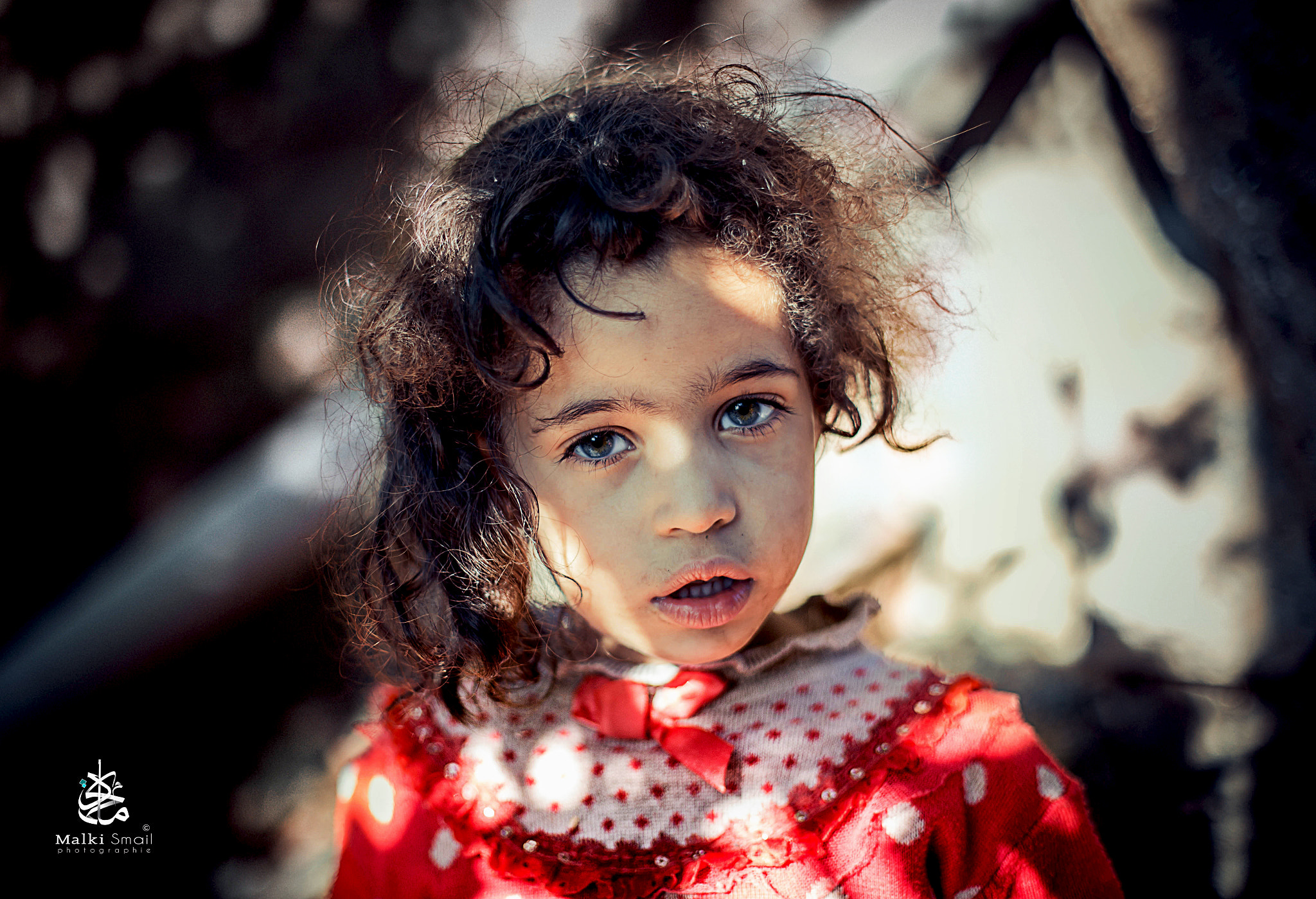 Canon EOS 6D + Canon EF 50mm F1.4 USM sample photo. Marwa photography