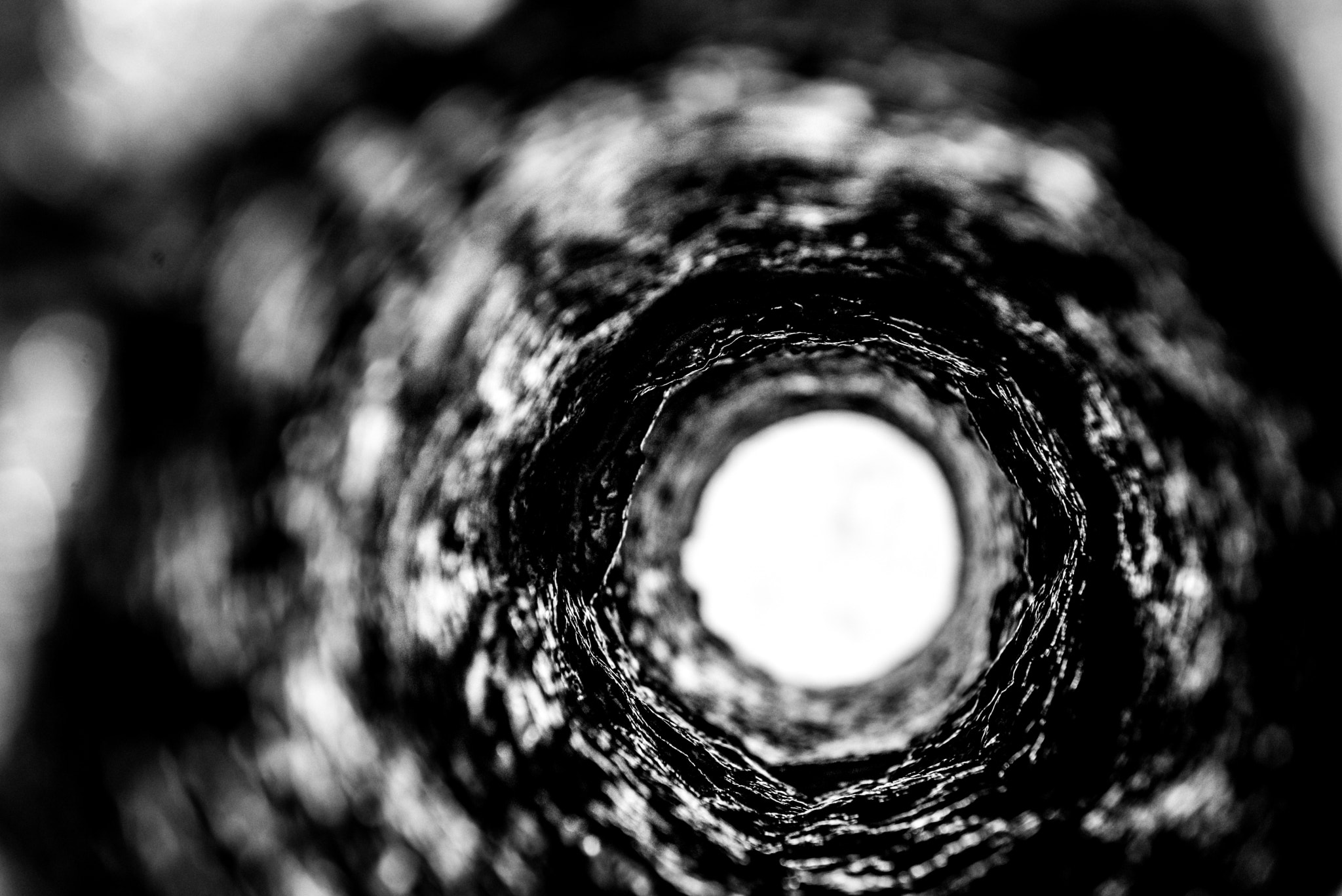 Nikon AF-S Nikkor 24-70mm F2.8E ED VR sample photo. Cannon path photography