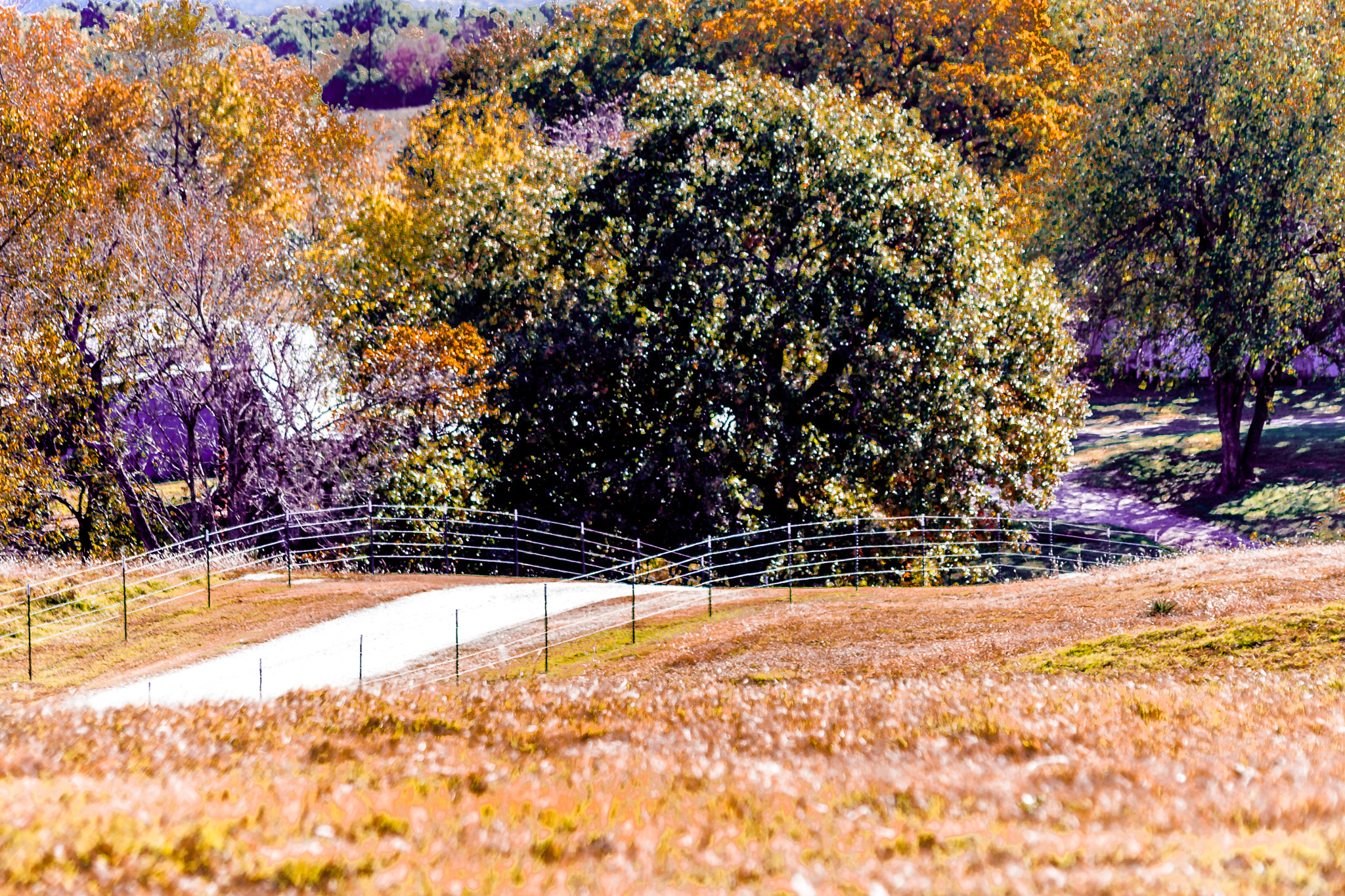 Sigma 70-300mm F4-5.6 APO DG Macro sample photo. Rolling lane photography