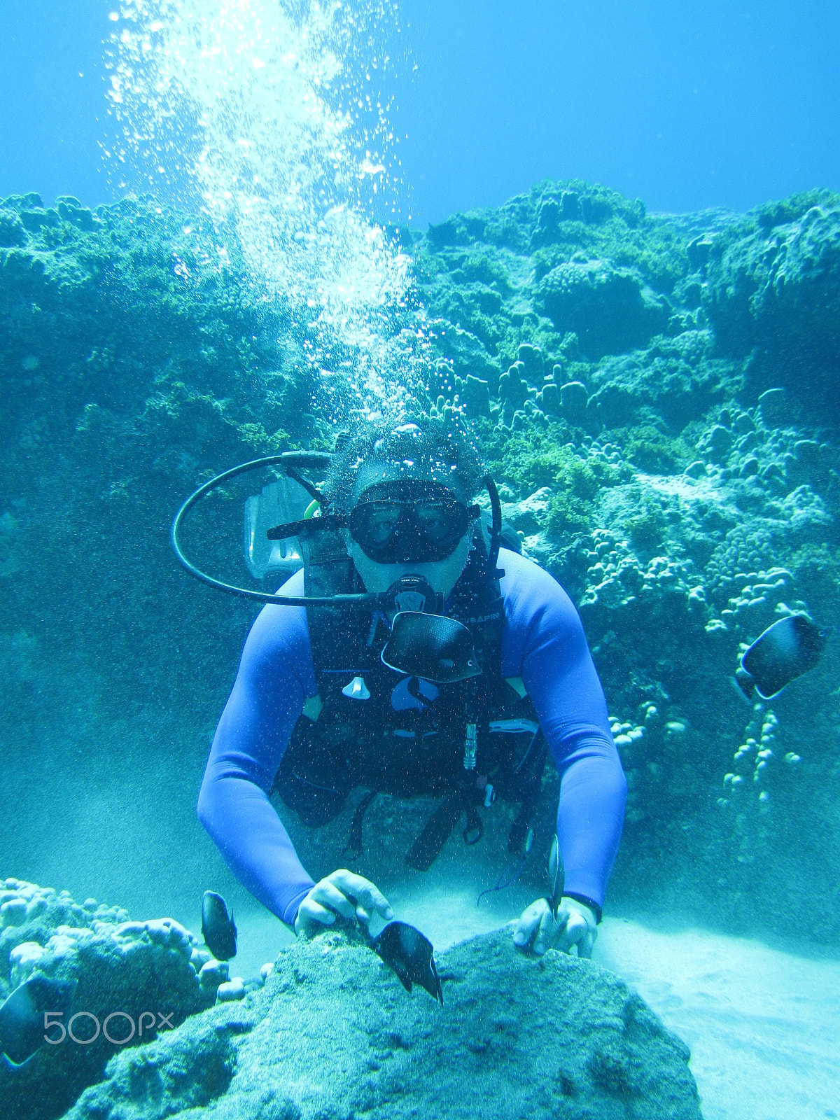 Canon PowerShot D10 sample photo. Diving photography