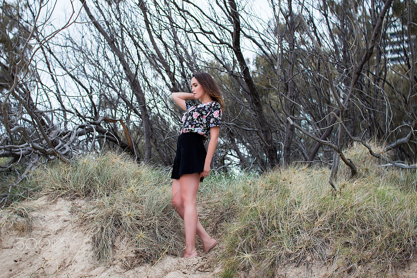 Sigma 30mm F1.4 EX DC HSM sample photo. Kate photography