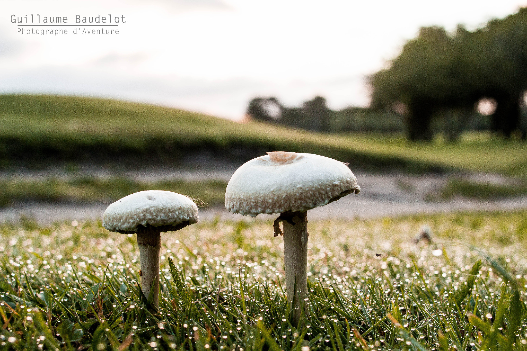 Canon EOS 60D + Canon EF 24mm F2.8 sample photo. Morning photography photography