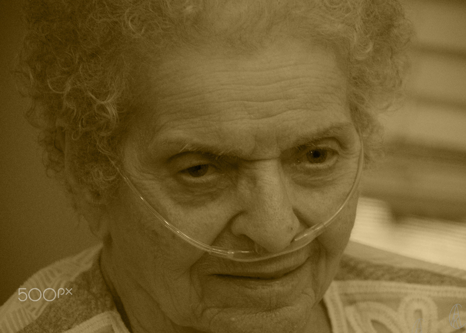 Nikon D40 sample photo. Missouri photography