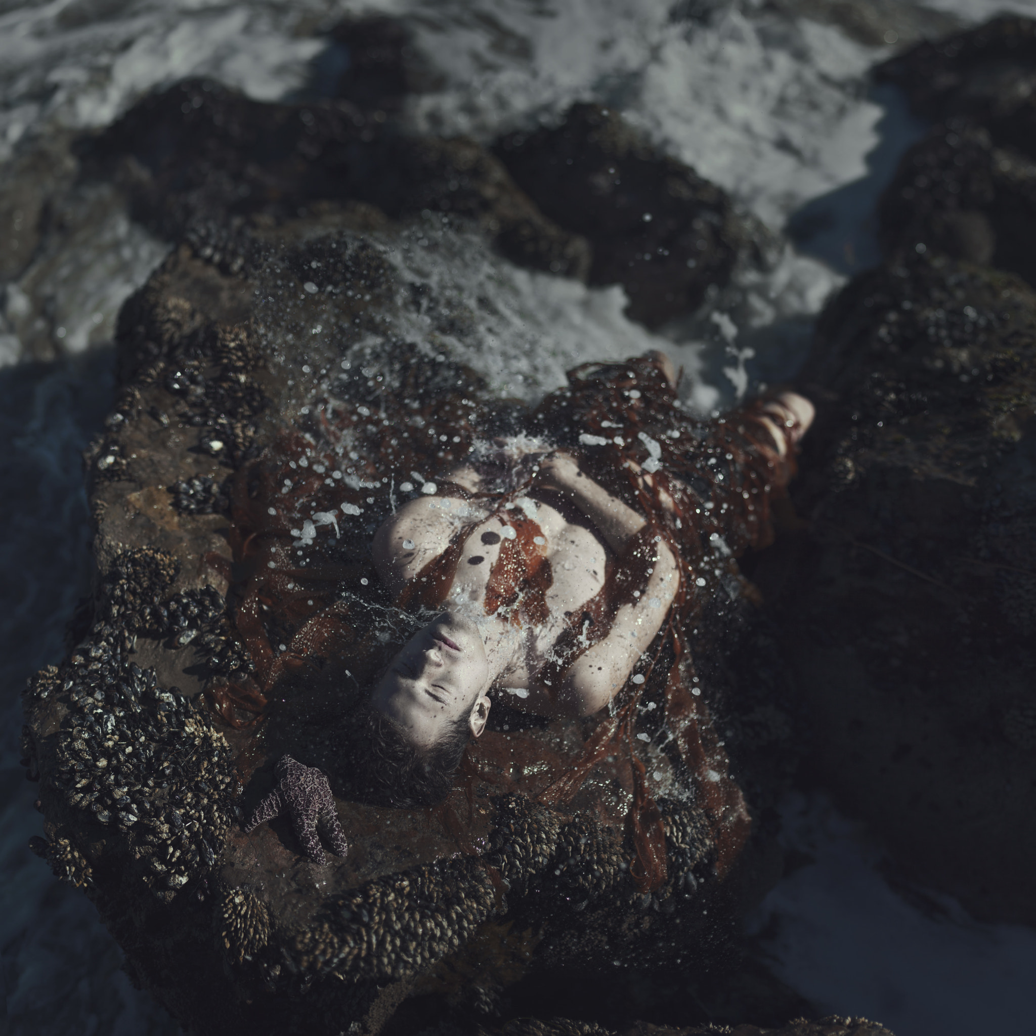 Canon EF 50mm F1.4 USM sample photo. Washed ashore photography